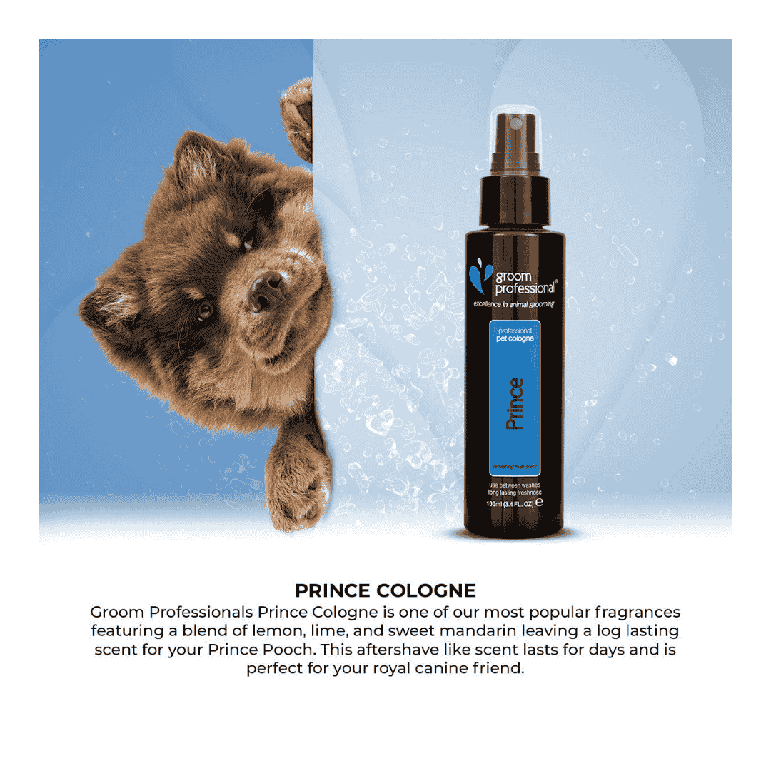 Groom Professional Prince Pet Perfume - 100ml - Image 4