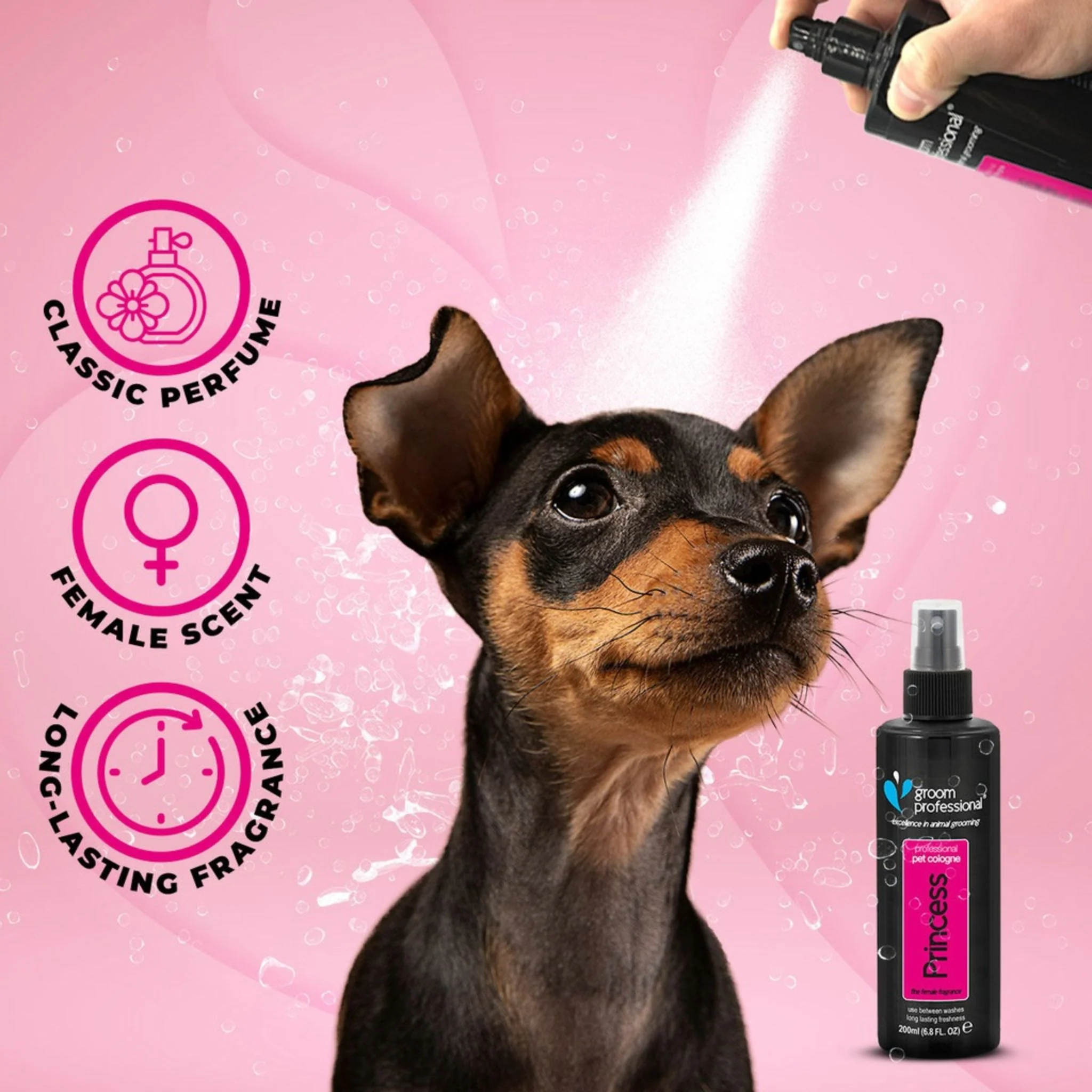 Groom Professional Princess Cologne For Dog - 200 ml - Image 3