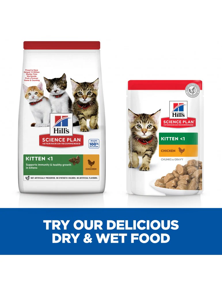 Hills Science Plan Kitten Wet Food Chicken Flavor - 3Kg - Image 2