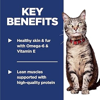 Hills Science Plan Adult Cat Food With Chicken - Image 2