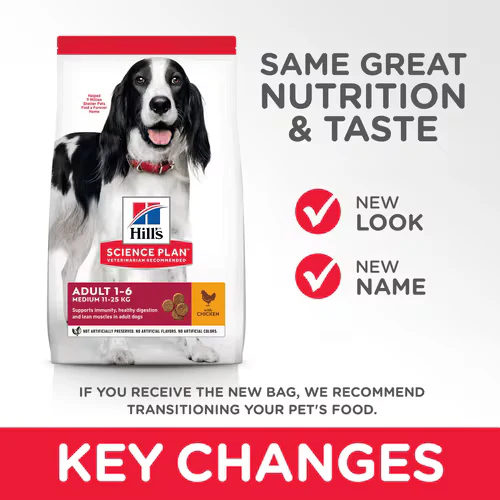 Hills Science Plan Medium Adult Dog Dry Food With Chicken - Image 3