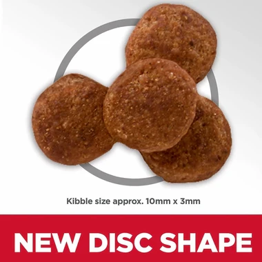 Hills Science Plan Medium Adult Dog Dry Food With Chicken - Image 4