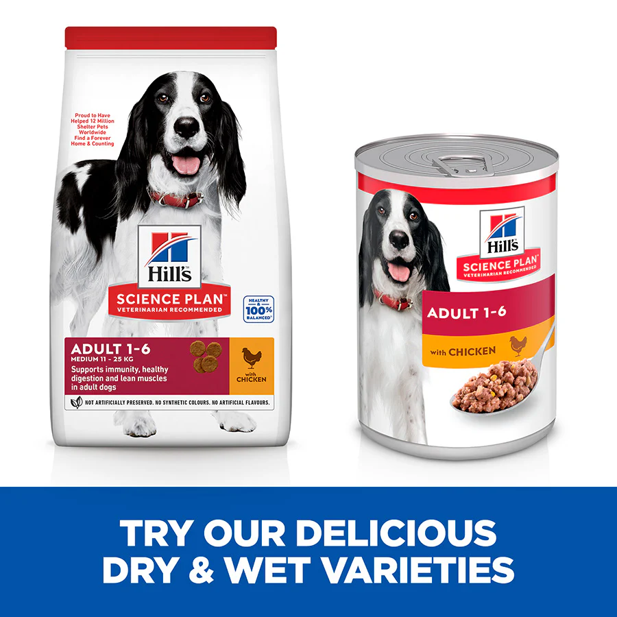 Hills Science Plan Medium Adult Dog Dry Food With Chicken - Image 5