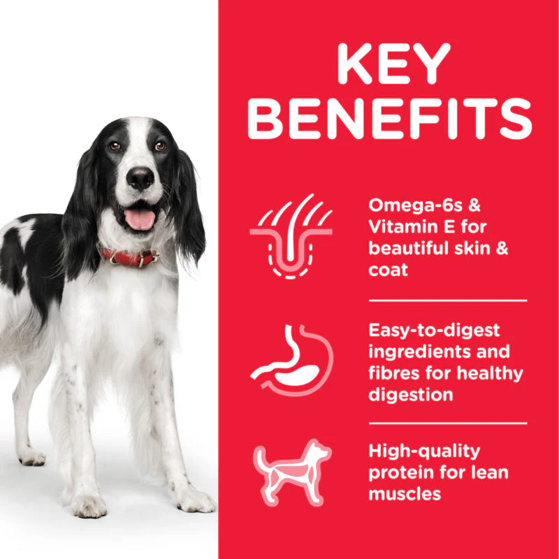 Hills Science Plan Medium Adult Dog Dry Food With Chicken - Image 6