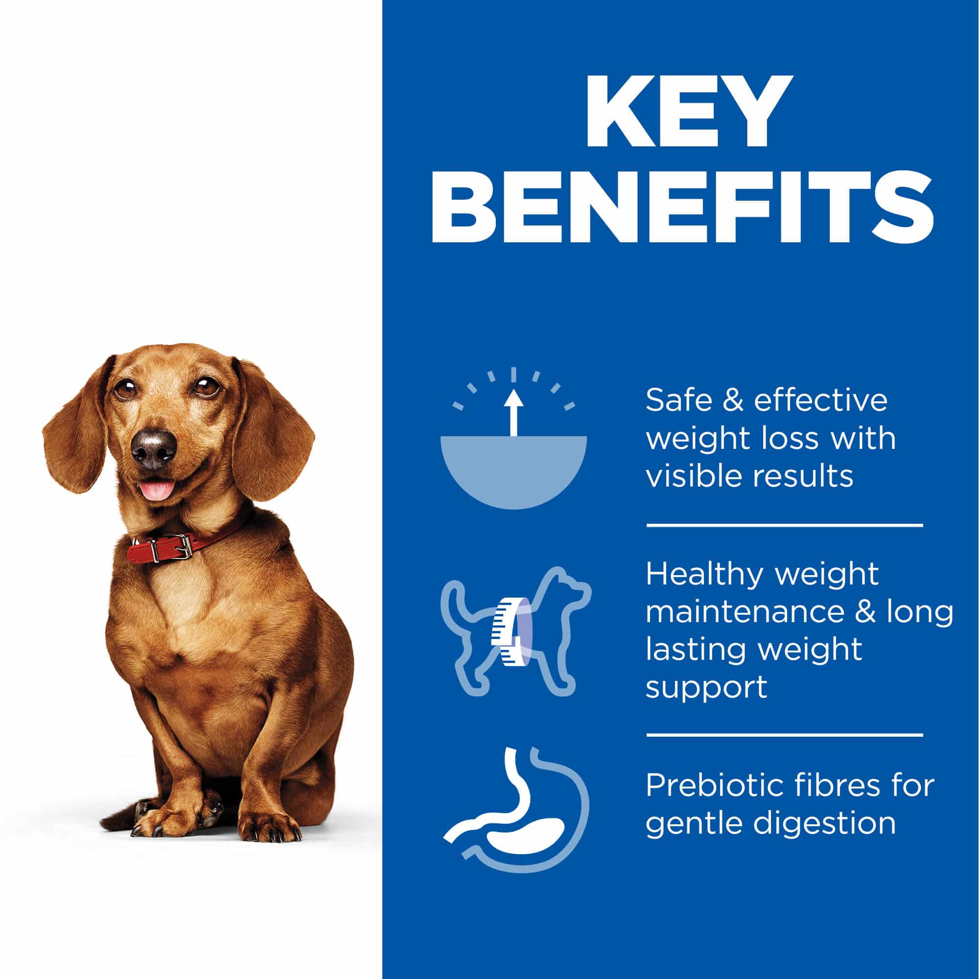 Hills Science Plan Perfect Weight Small & Mini Adult Dog Dry Food With Chicken - 1.5Kg - Image 3