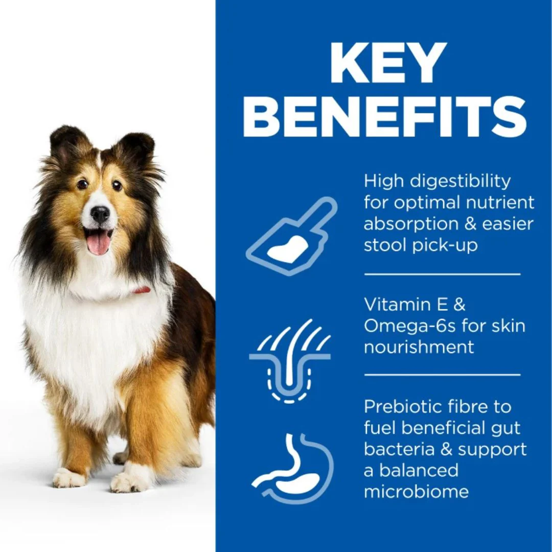 Hills Science Plan Sensitive Stomach & Skin Dog Food With Chicken - 2.5Kg - Image 3