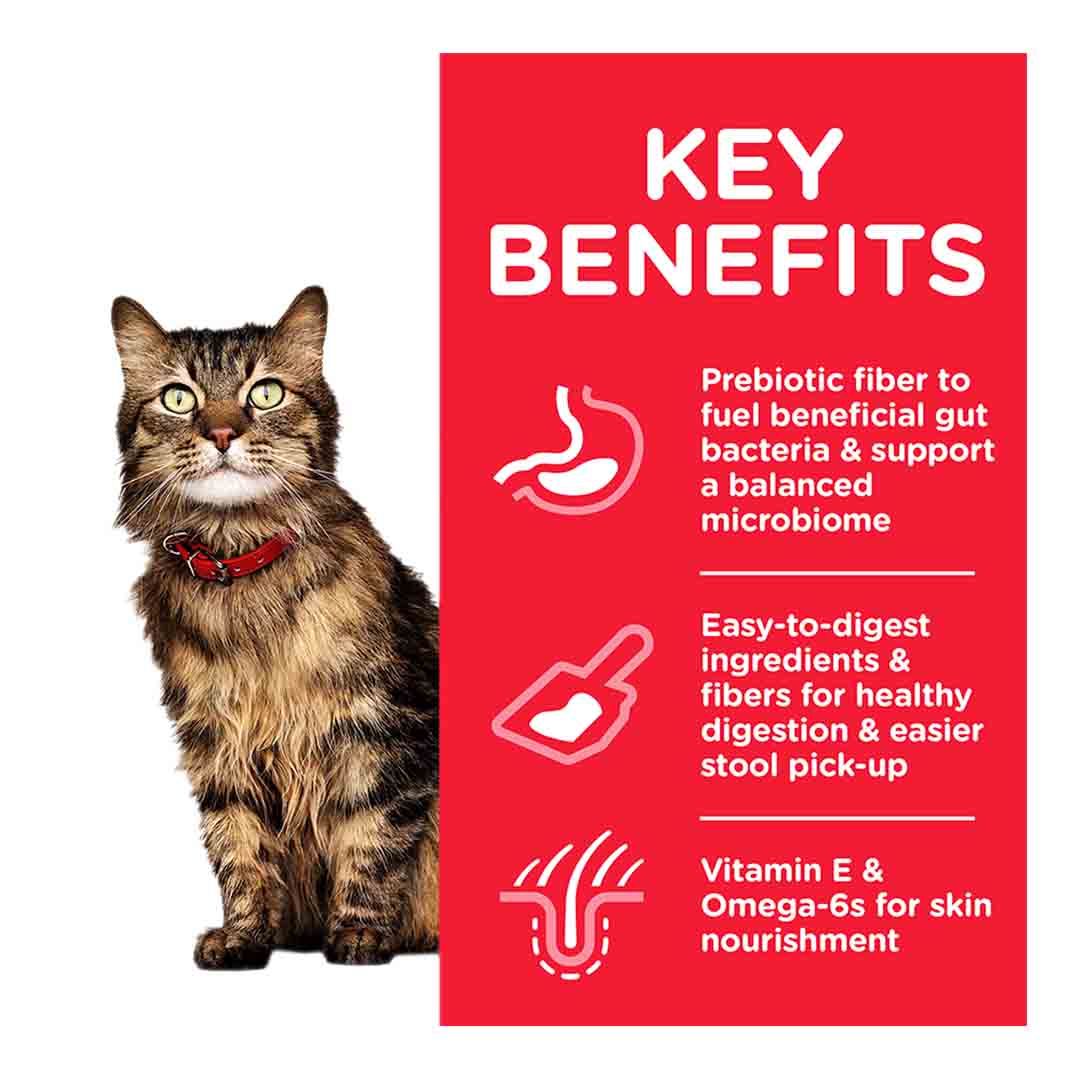 Hills Science Plan Sensitive Stomach & Skin Adult Cat Dry Food With Chicken - 1.5kg - Image 3