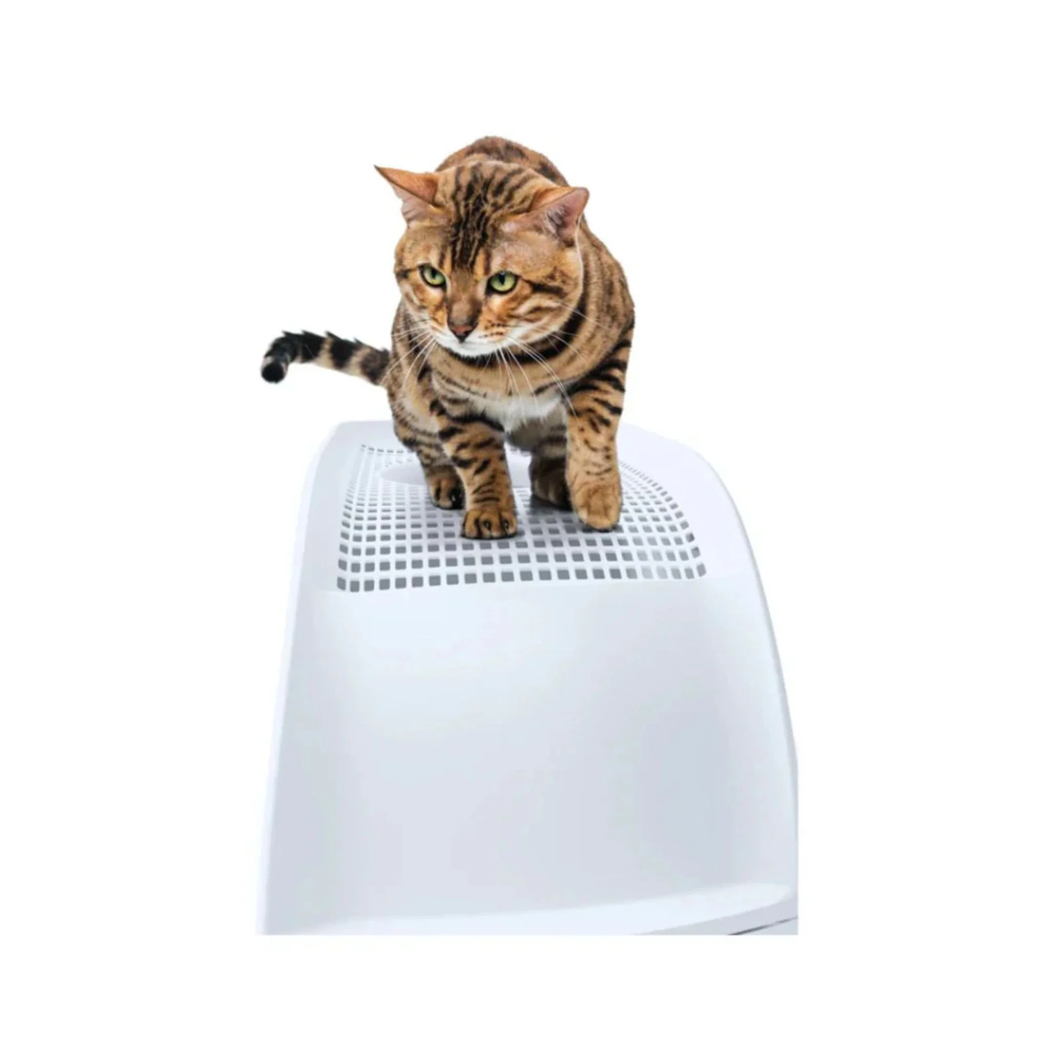 Imac Frida Hooded Cat Toilet - 40×56×43.5 cm - Image 8