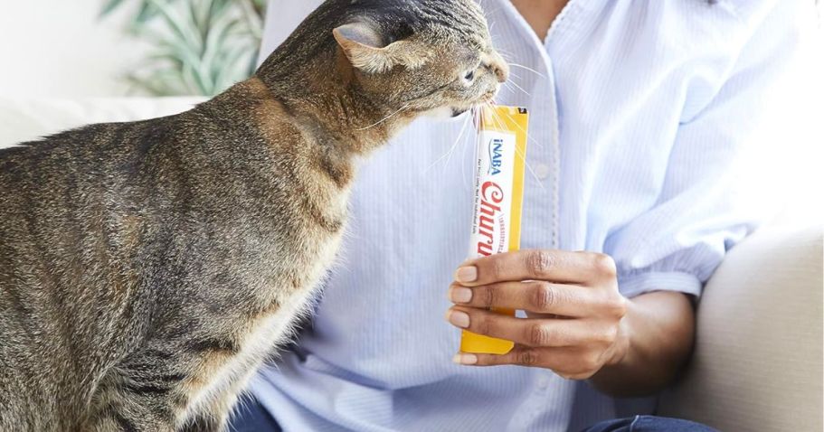 Inaba Churu Creamy Cat Treats With Chicken - 4x14g - Image 2