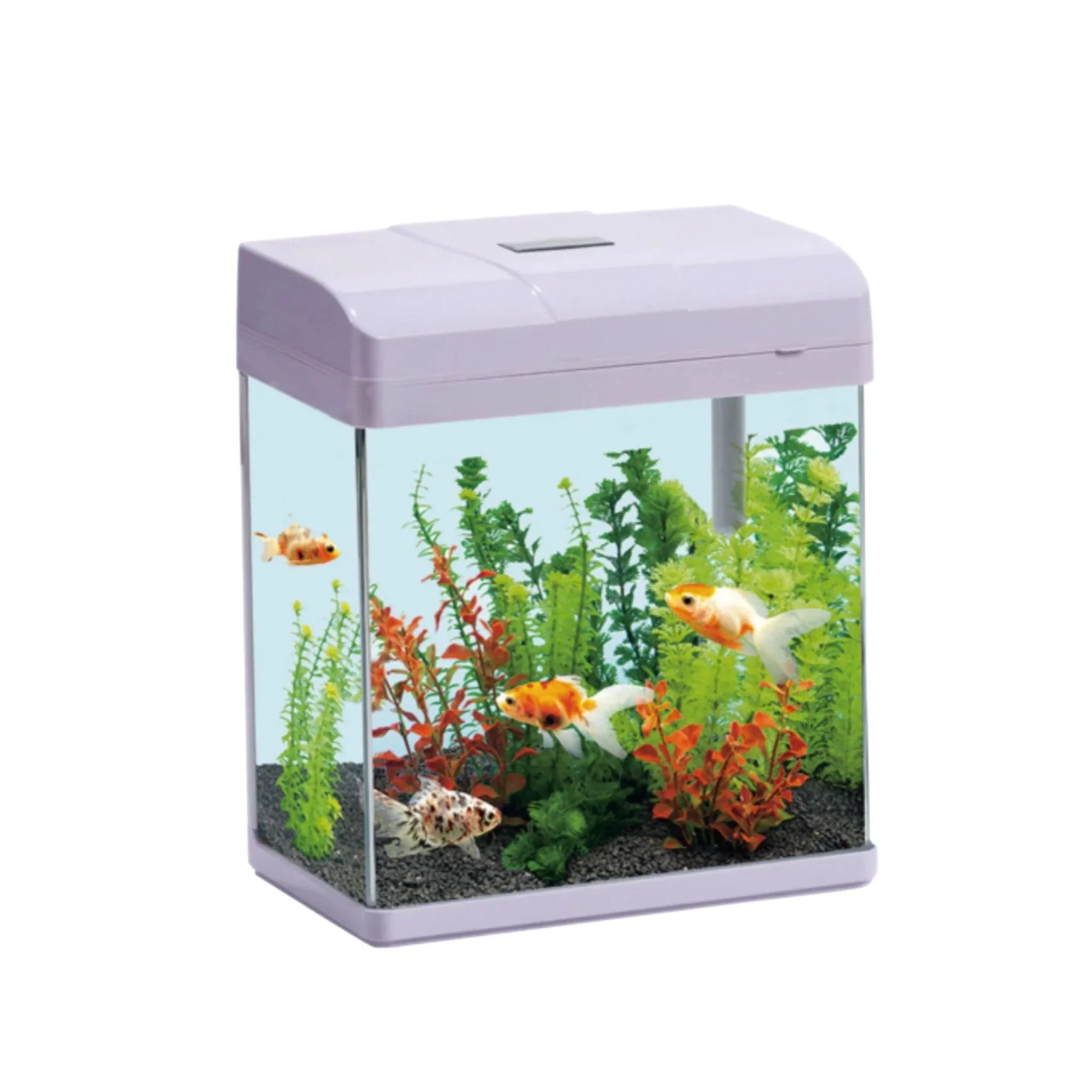 Top Selling Fish Supplies