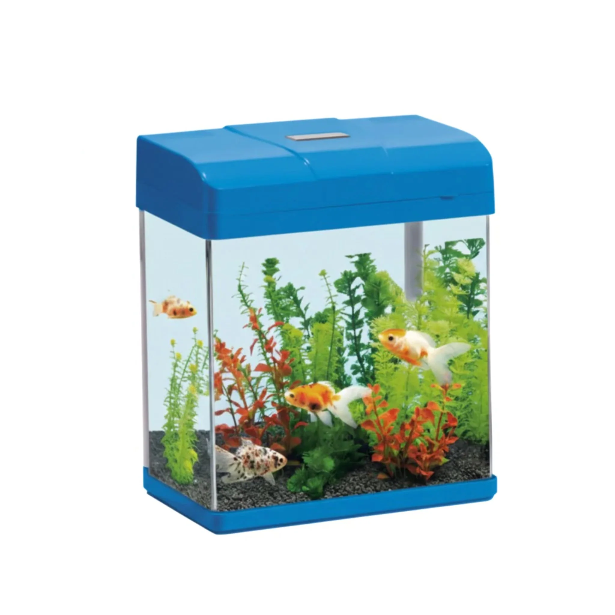 Karis PF-Series Compact Fish Aquarium - 235×160×280 mm - Image 3