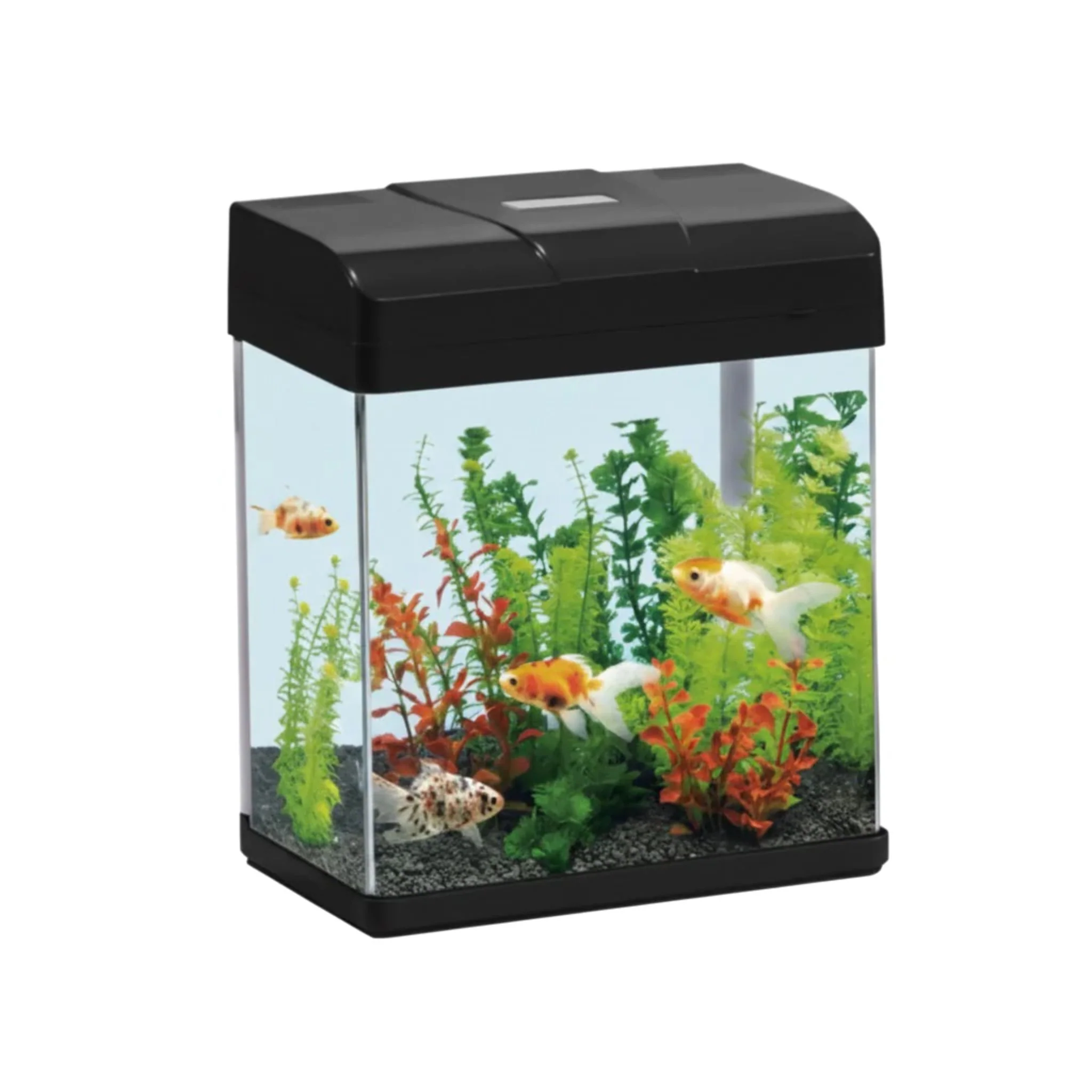 Karis PF-Series Compact Fish Aquarium - 235×160×280 mm - Image 4