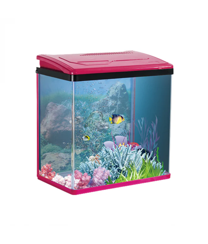 Karis PY-Series Fish Aquarium Blue Edition – 240×160×280 mm - Image 2