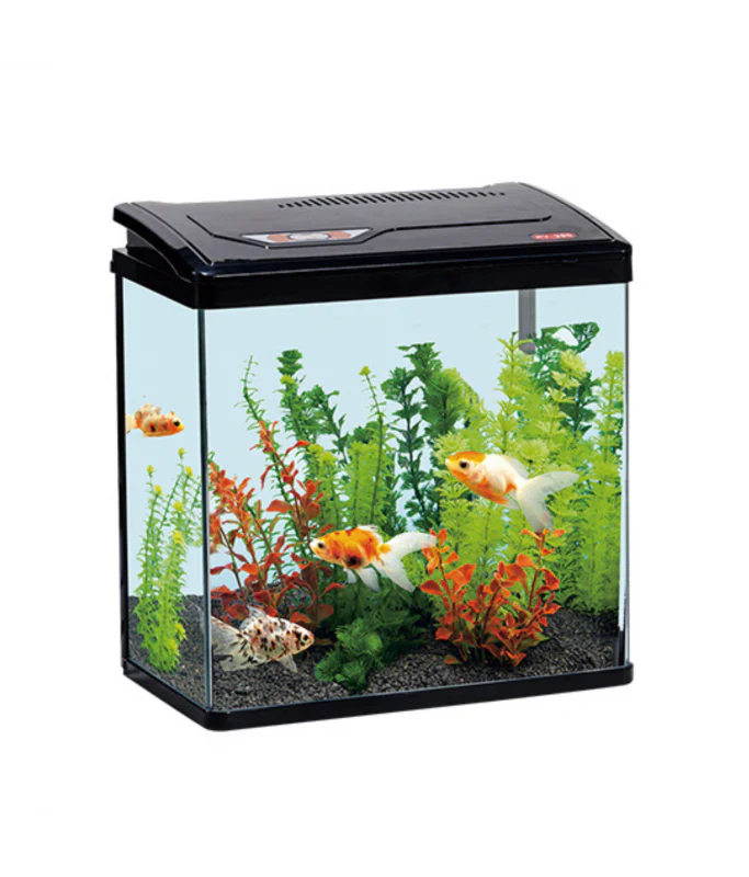 Karis PY-Series Fish Aquarium Blue Edition – 240×160×280 mm - Image 4