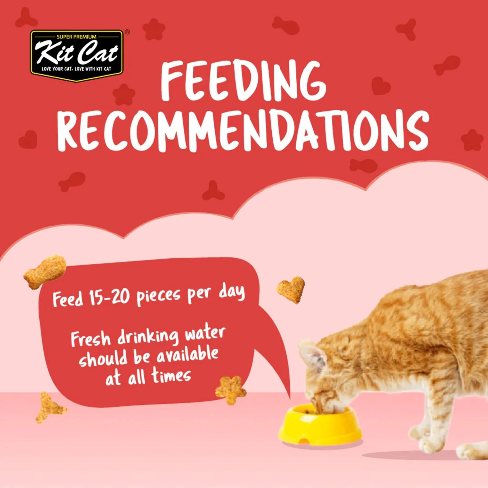 Kit Cat Kitty Crunch Beef Flavor Cat Treat - 60g - Image 3