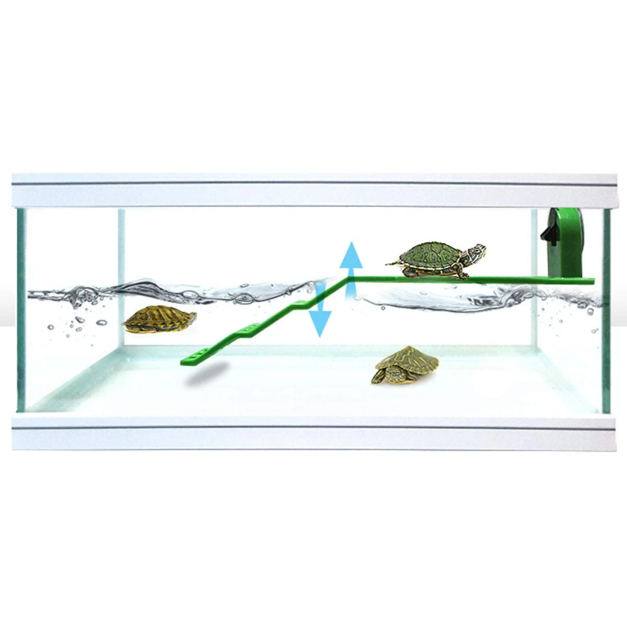 KW Zone Dophin Turtle Ladder - Image 3