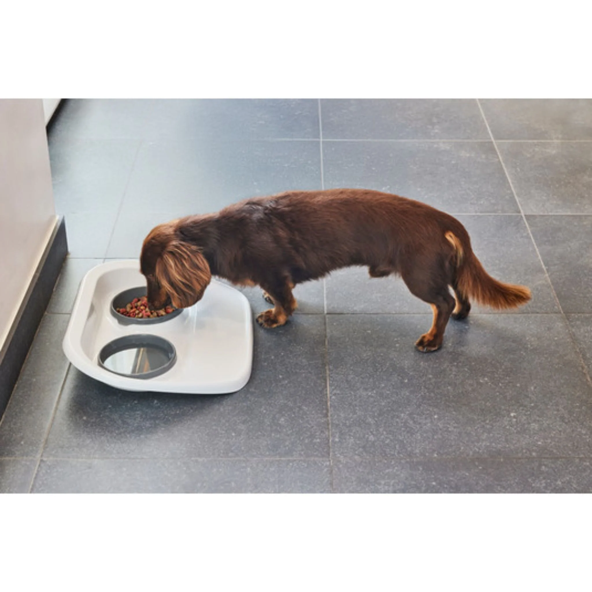Moderna Tidy Diner Mess Proof Double Pet Feeder - 2x300ml - Image 3