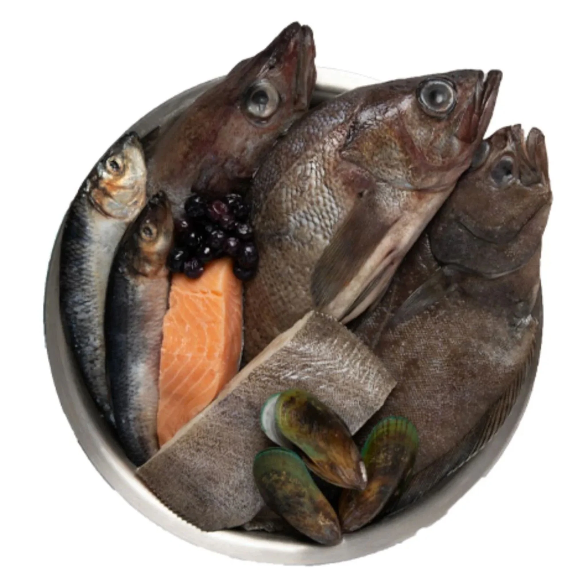 Orijen Marine Fish Small Breed Dry Dog Food - 1.8Kg - Image 3