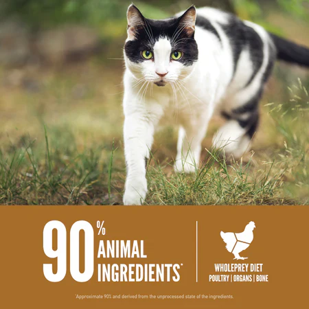 Orijen Original Protein-Rich Cat Dry Food - 1.8kg - Image 3