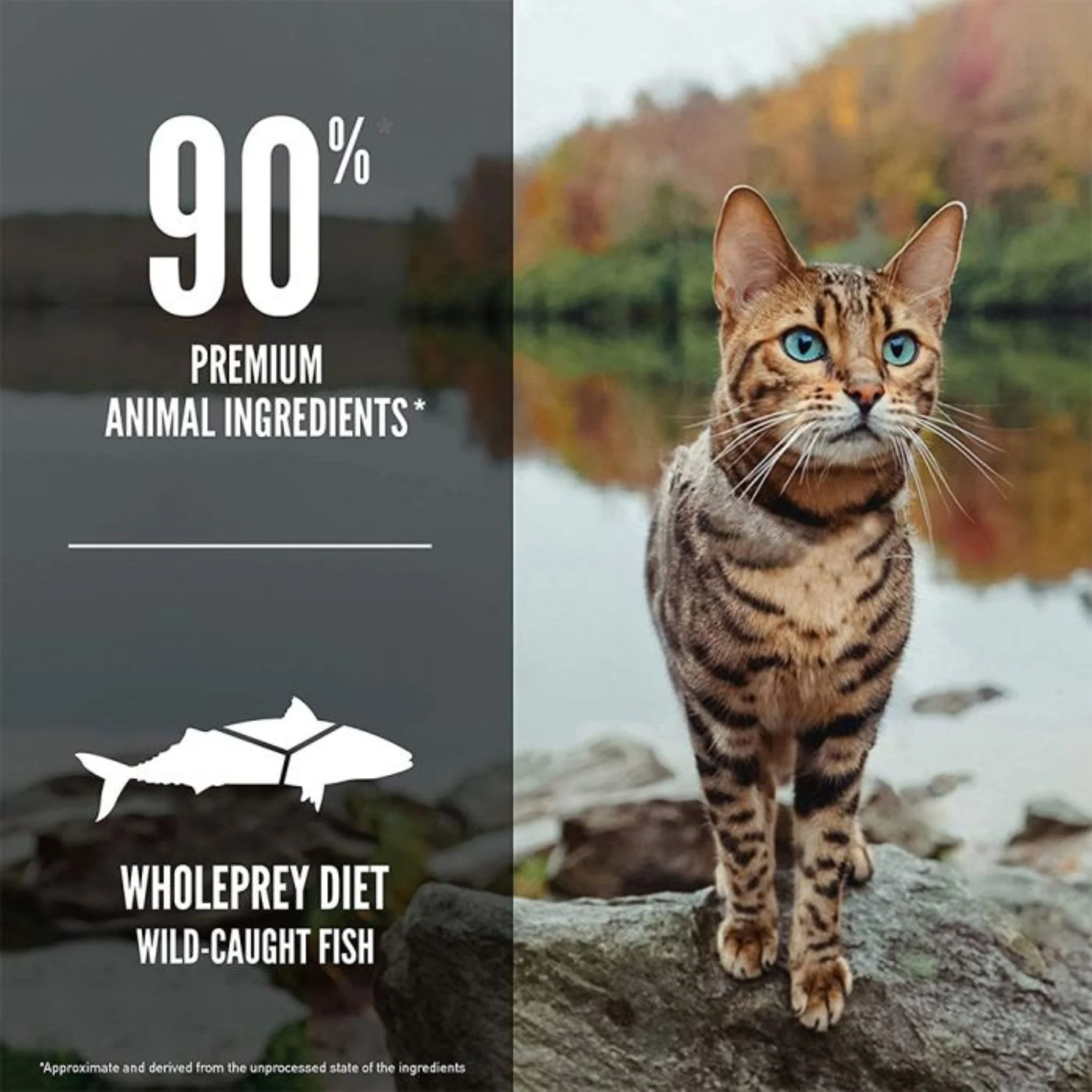 Orijen Six Fish Cat Dry Food - 1.8Kg - Image 2