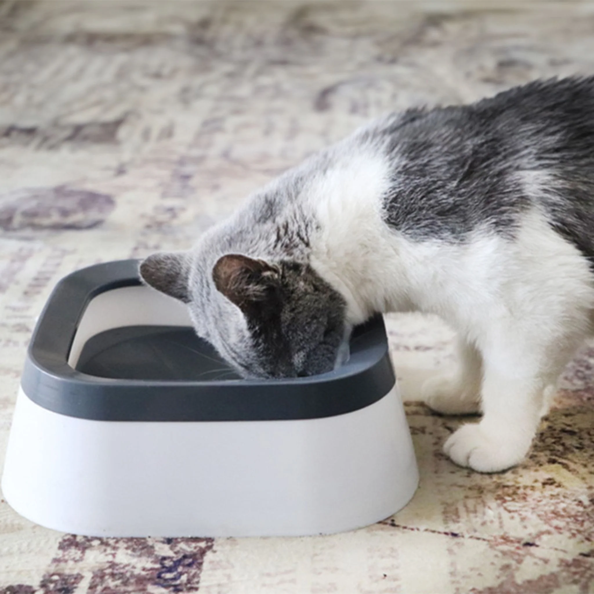 Pado Classic Square Anti Spill Pet Bowl Grey - 21x21x7.8 cm - Image 5