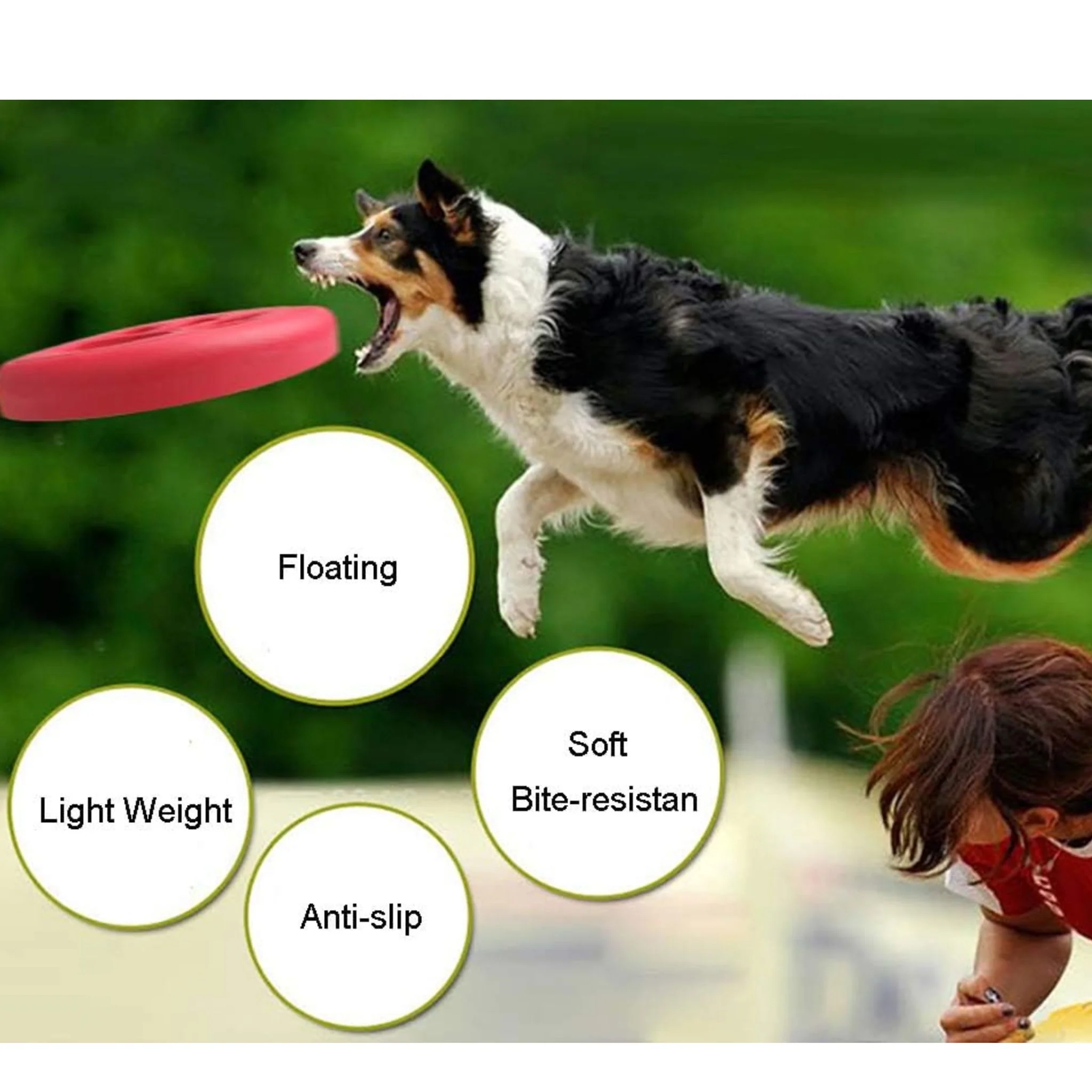 Pado Eva Chomp Chum Frisbee Dog Toy - 20cm - Image 2