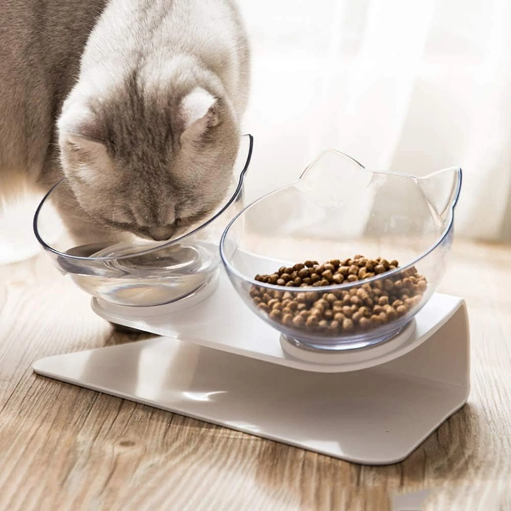 Pado Pet Feeding Bowl - 2 in 1 - Image 4