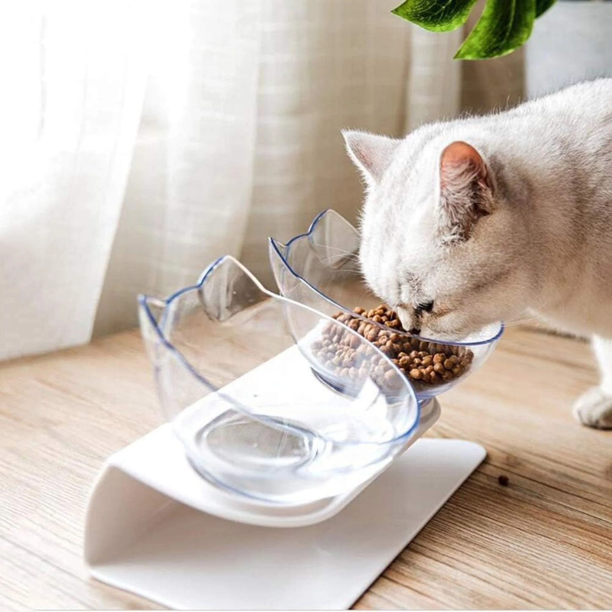 Pado Pet Feeding Bowl - 2 in 1 - Image 9