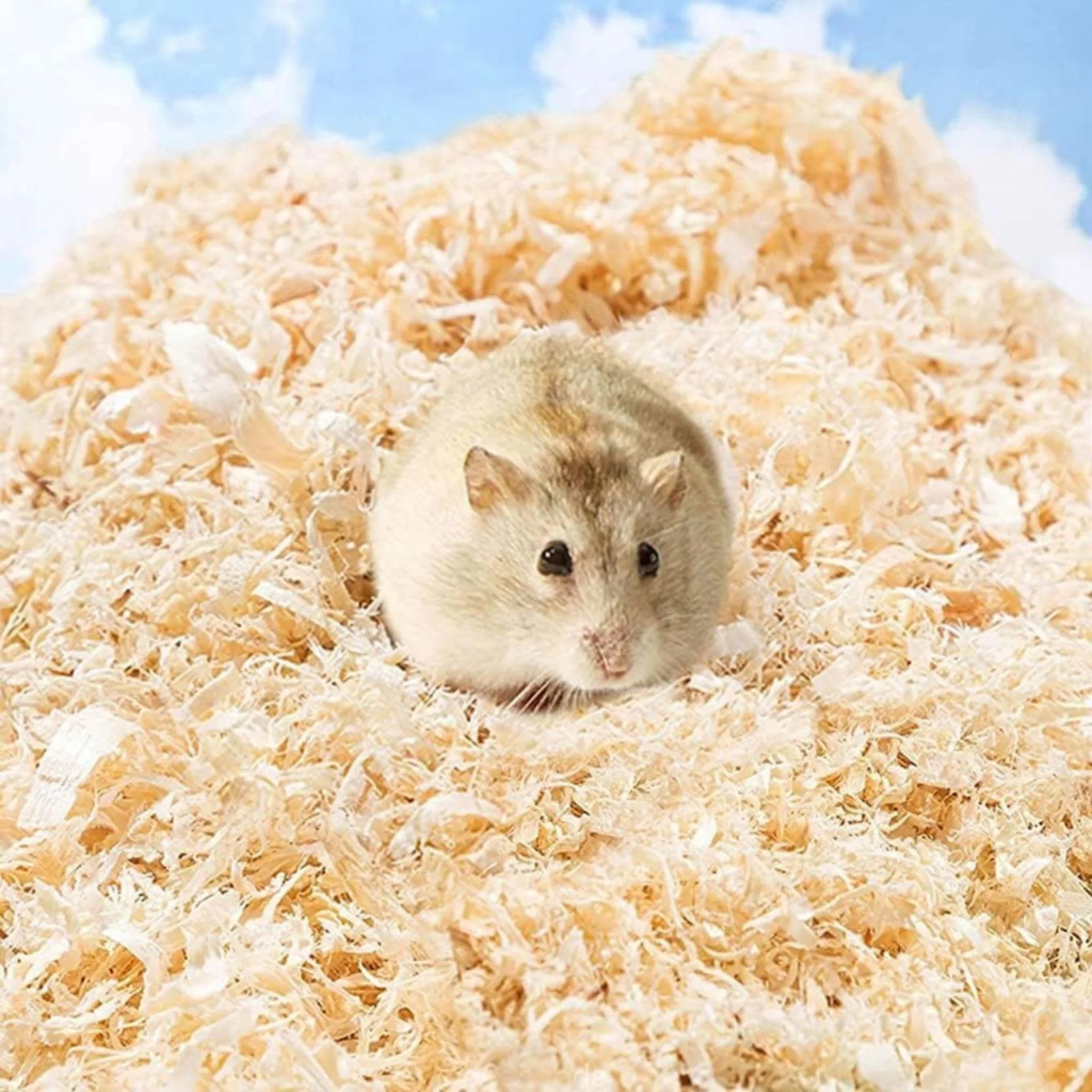 Pado Wood Chips For Small Pet Lemon - 1kg - Image 4