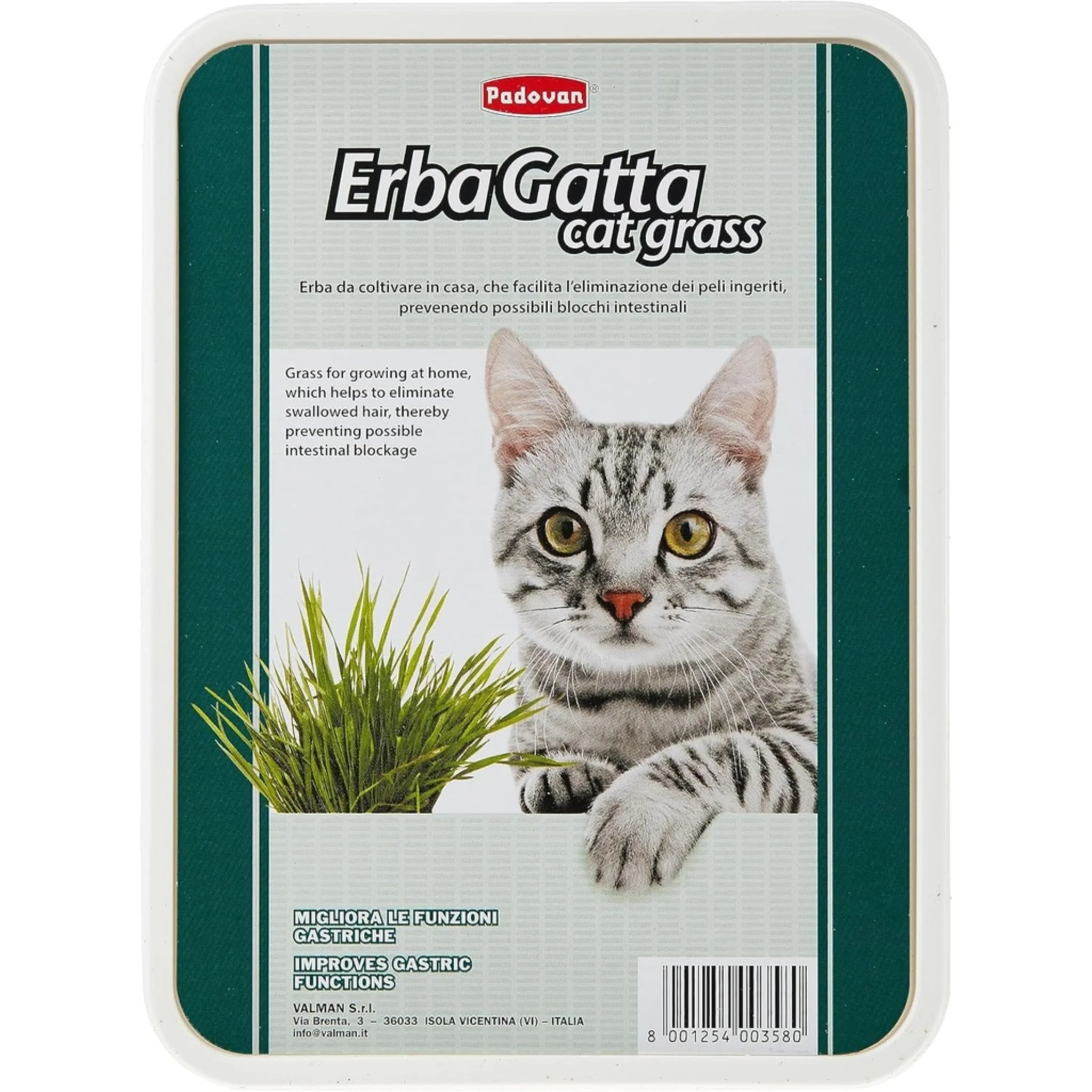 Padovan Erbagatto Cat Grass – Natural Digestive Aid For Cats - Image 3