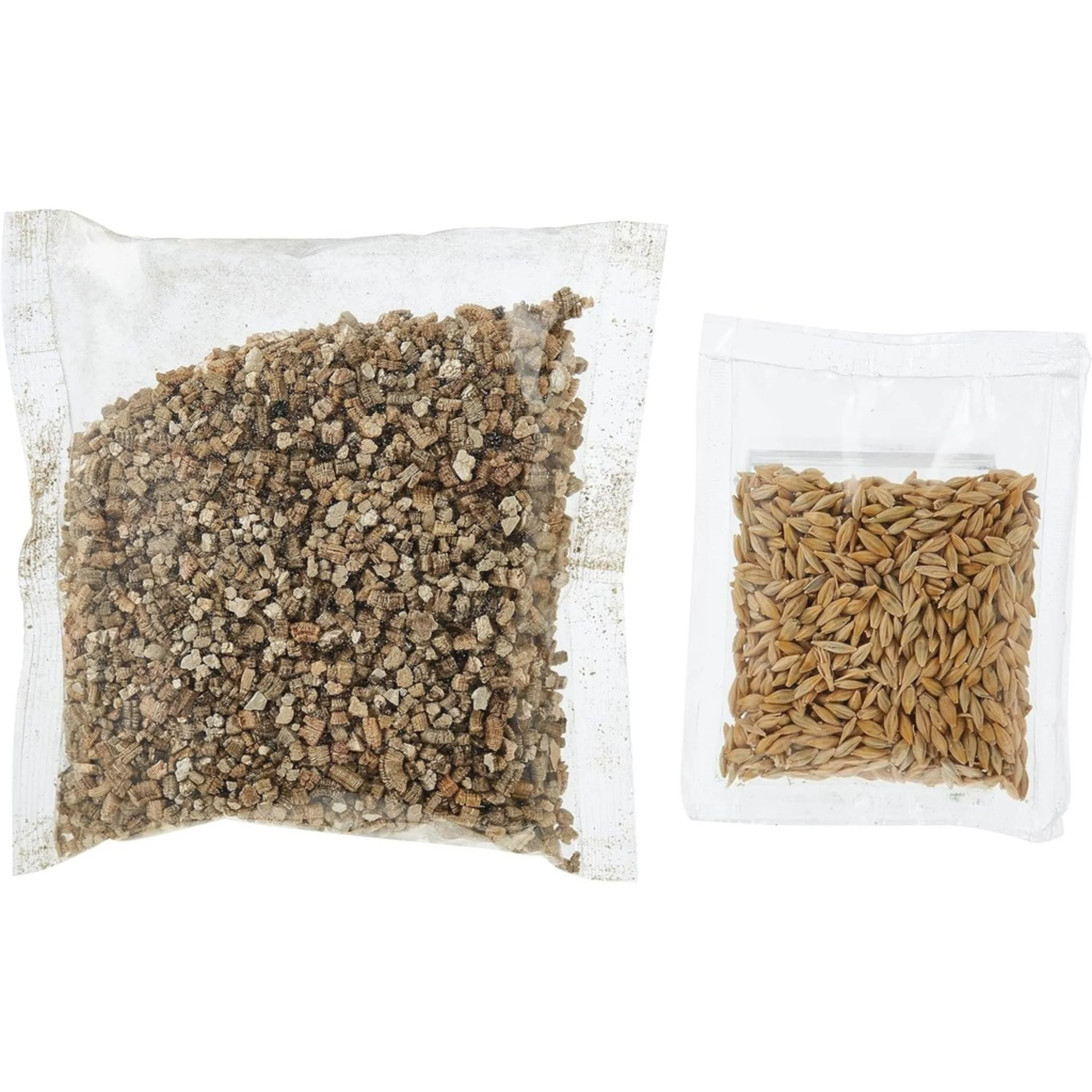 Padovan Erbagatto Cat Grass – Natural Digestive Aid For Cats - Image 4