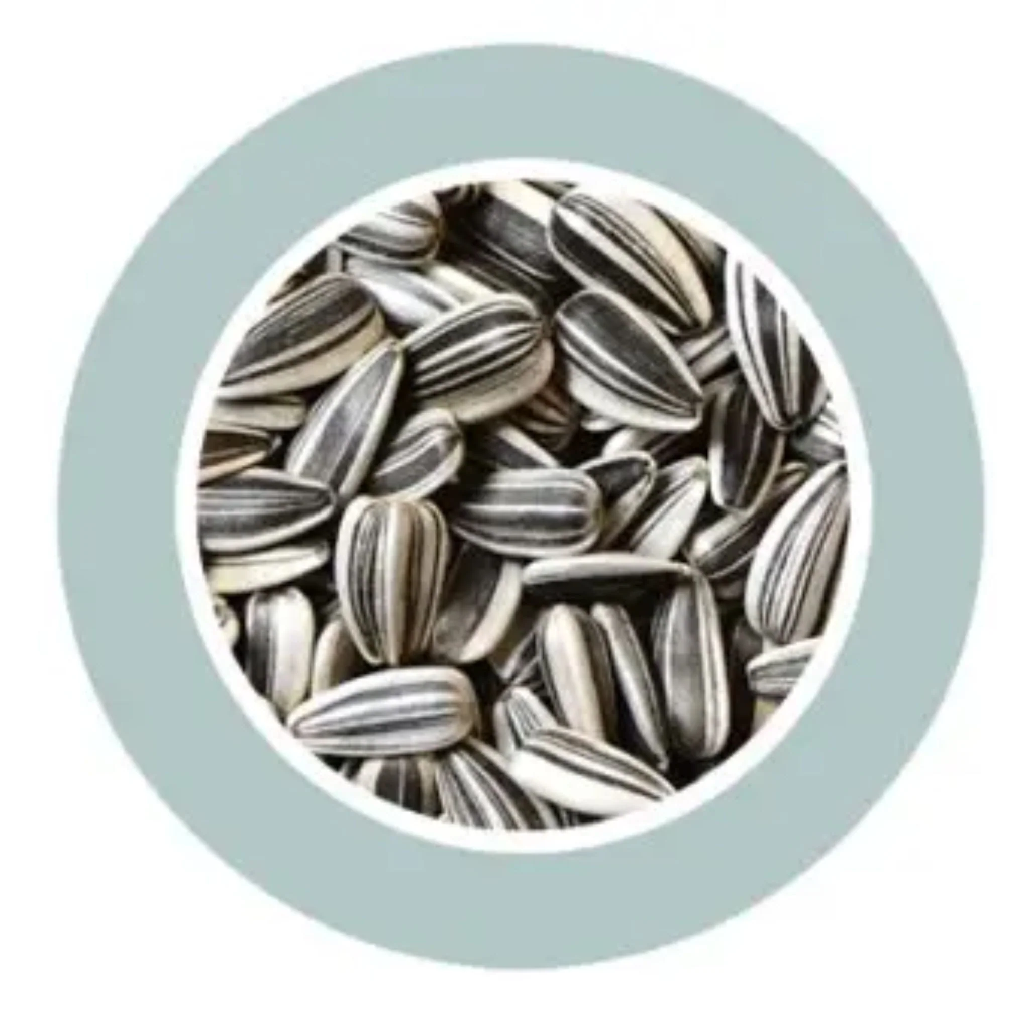Padovan Sunseeds Premium Bird Seeds Natural Mix – 500g - Image 3