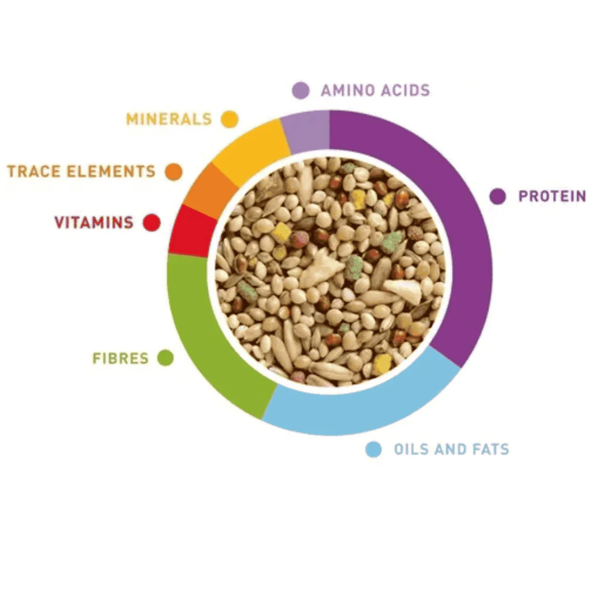 Padovan Wellness Budgies Food Balanced Nutrition Mix – 1kg - Image 2