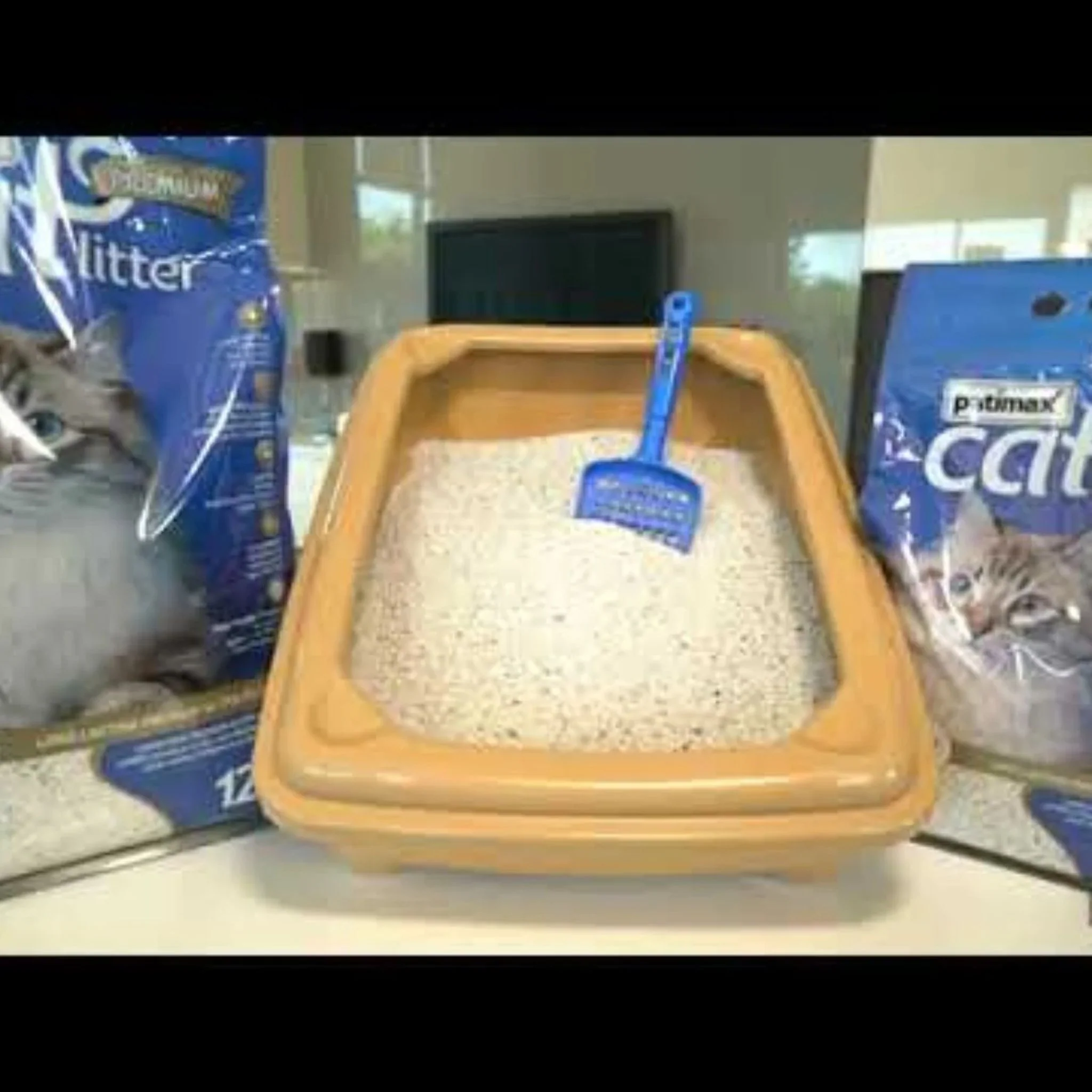 Patimax Premium Ultra Clumping Cat Litter Baby Flavor - 6L - Image 3