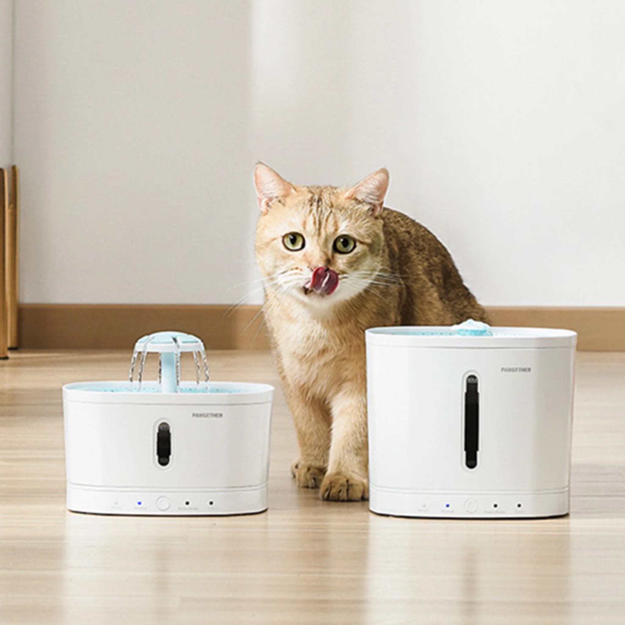 Pawgether Smart Pet Water Fountain - 183x183x158mm - Image 3