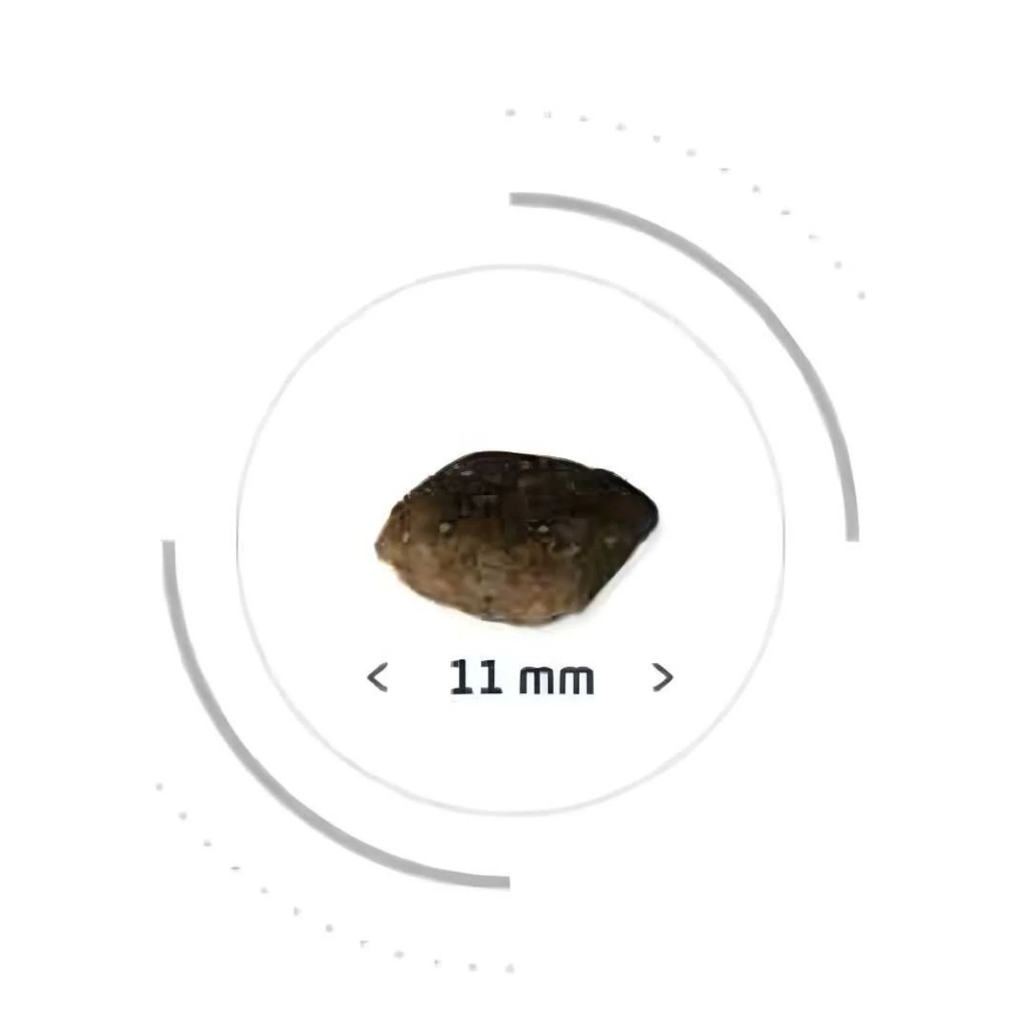 Pro Nutrition Prestige Adult Mini Breed Dry Dog Food - 3kg - Image 3