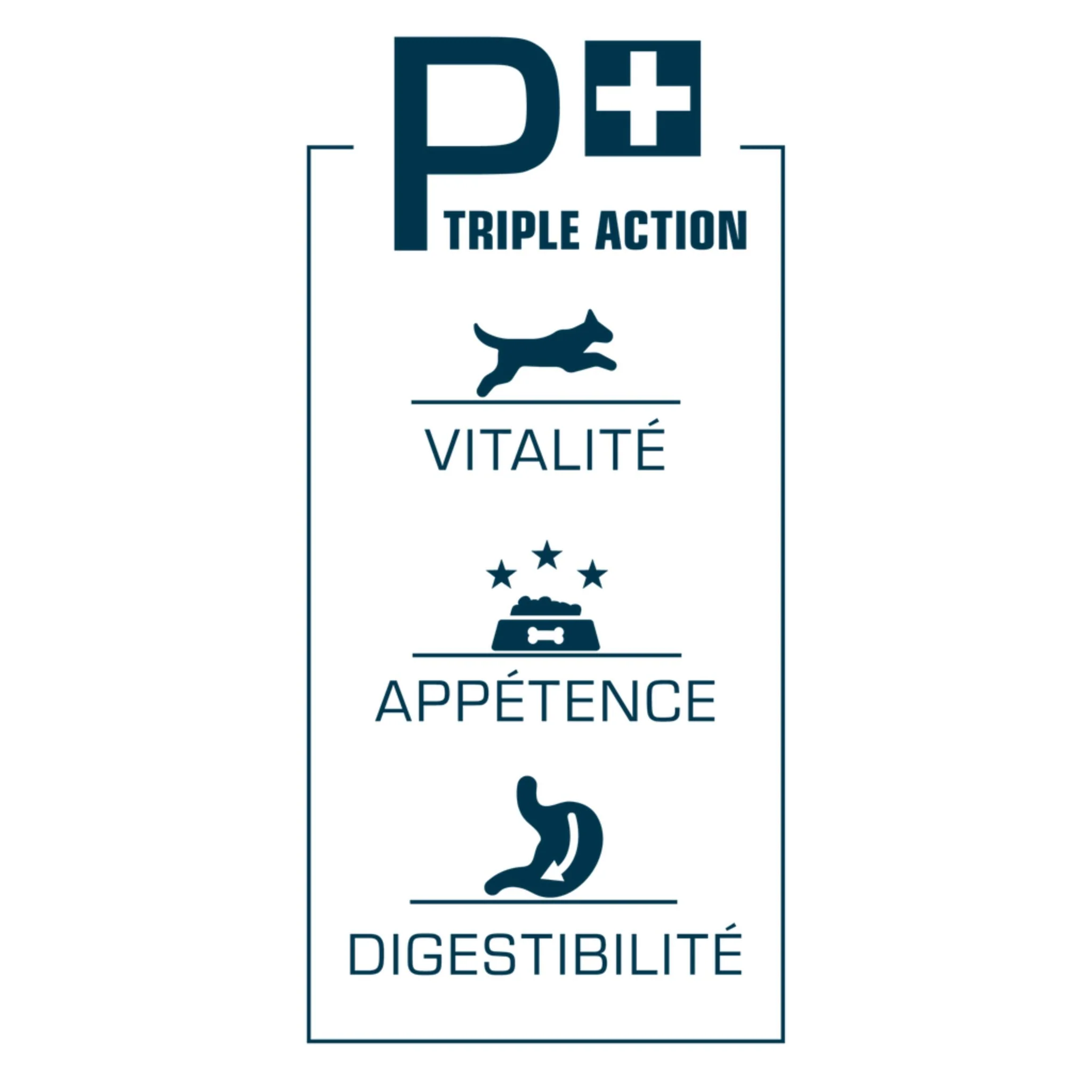 Pro Nutrition Prestige Kitten Cat Dry Food - 2Kg - Image 4