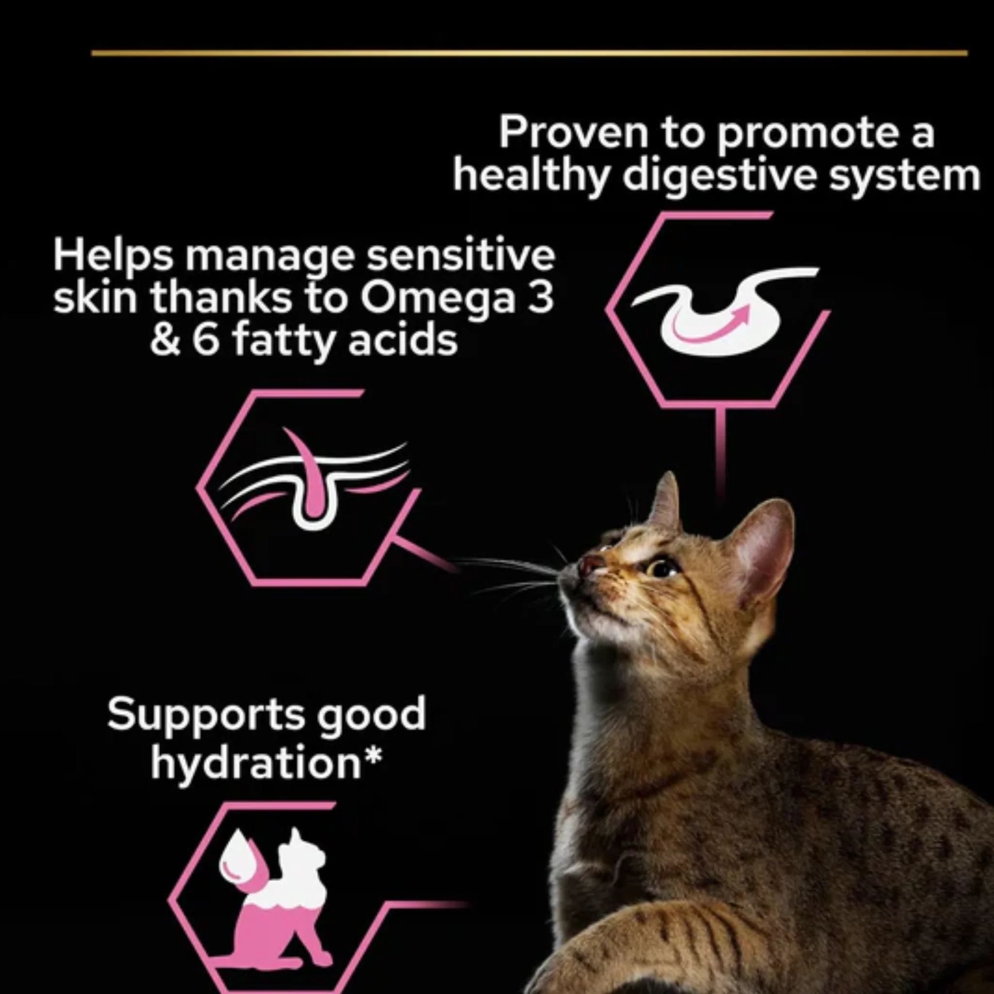 Purina Pro Plan Delicate Wet Cat Food With Turkey Grilled In Gravy - 26x85g - Image 2