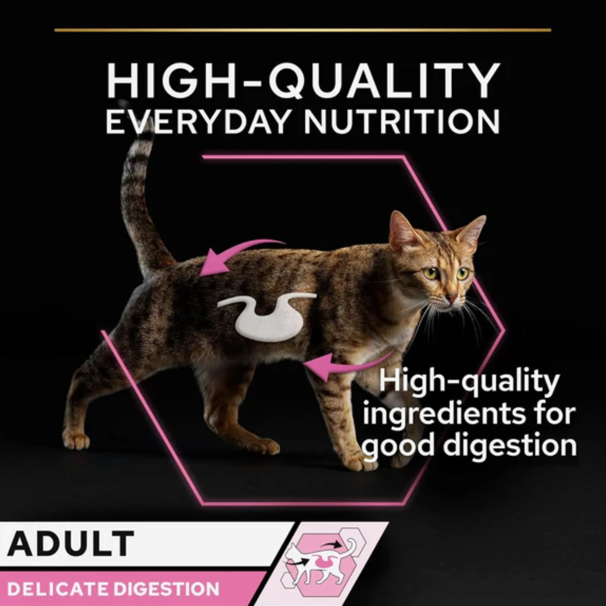 Purina Pro Plan Delicate Wet Cat Food With Turkey Grilled In Gravy - 26x85g - Image 3