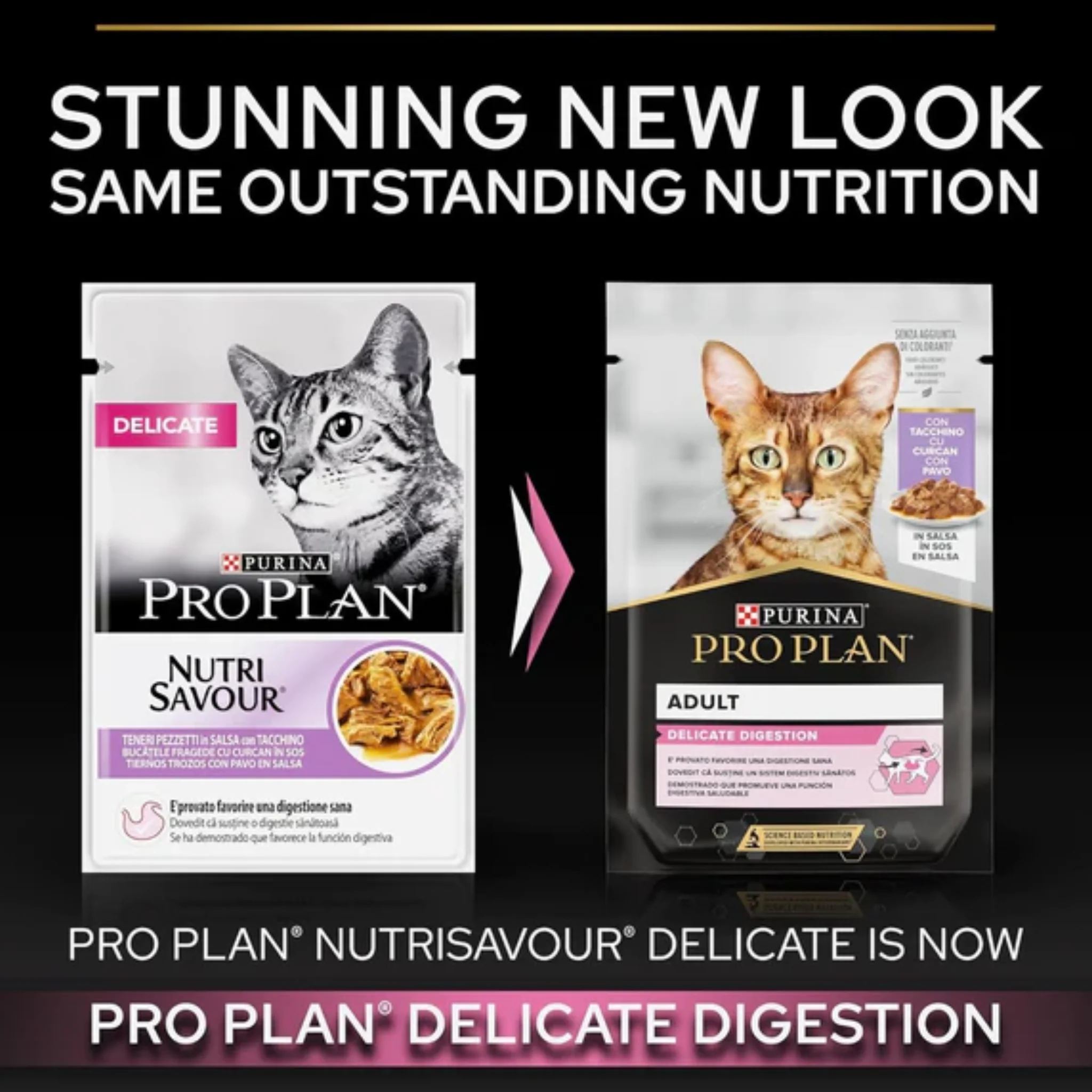 Purina Pro Plan Delicate Wet Cat Food With Turkey Grilled In Gravy - 26x85g - Image 4