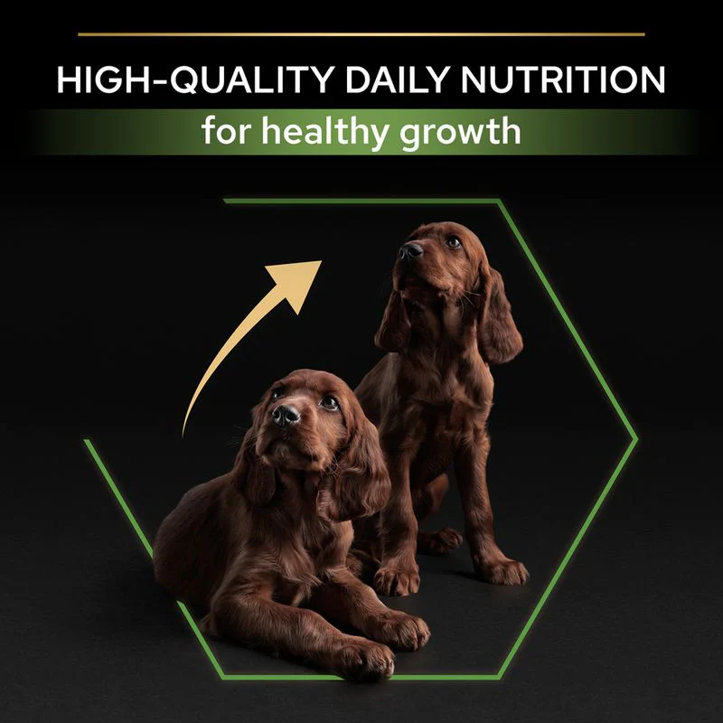 Purina Pro Plan Healthy Start Large Athletic Puppy Dry Dog Food With Chicken - 3kg - Image 2