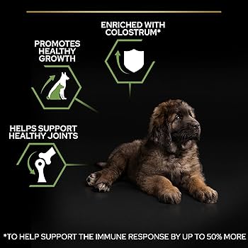 Purina Pro Plan Healthy Start Large Robust Puppy Dry Dog Food With Chicken - 3kg - Image 2