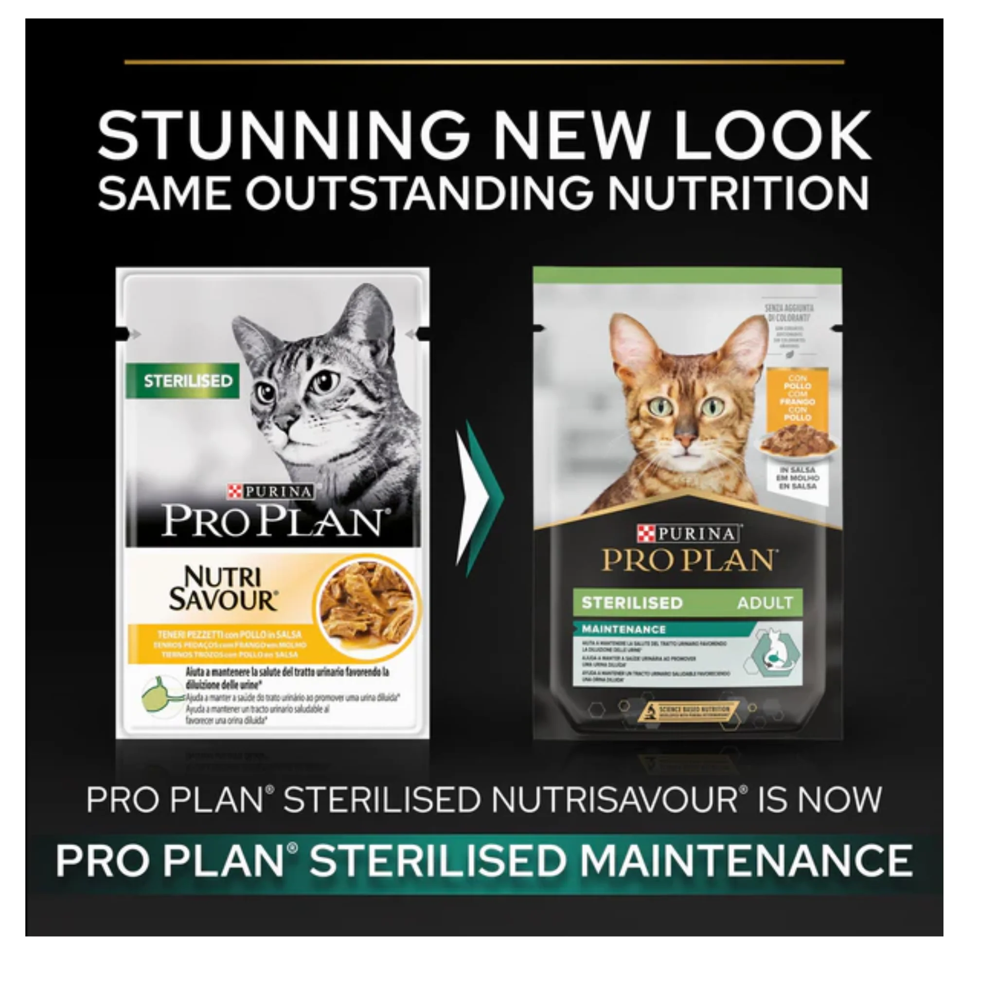 Purina Pro Plan Nutri Savour Wet Food With Chicken In Gravy For Sterilized Adult Cat - Image 3