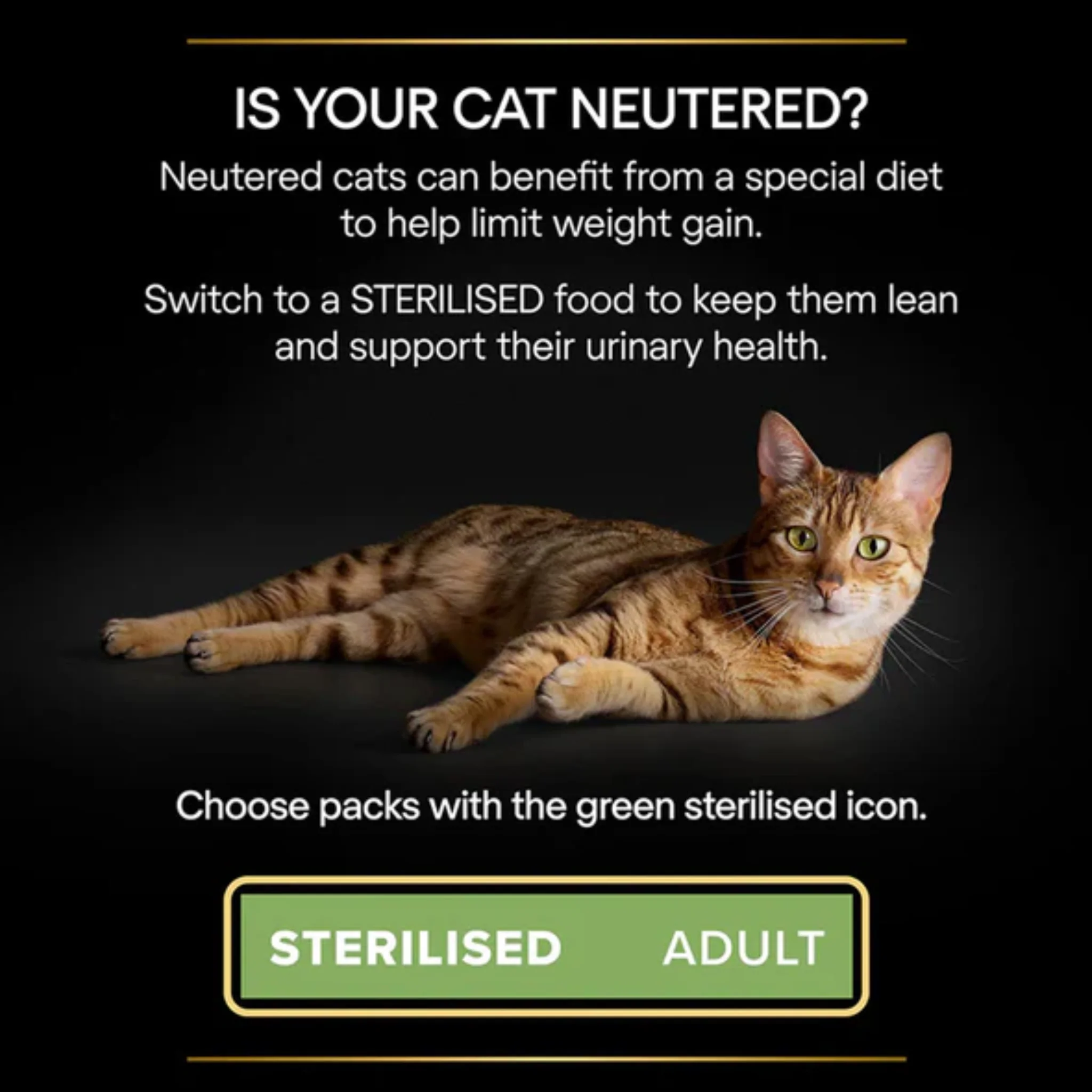 Purina Pro Plan Nutri Savour Wet Food With Chicken In Gravy For Sterilized Adult Cat - Image 4