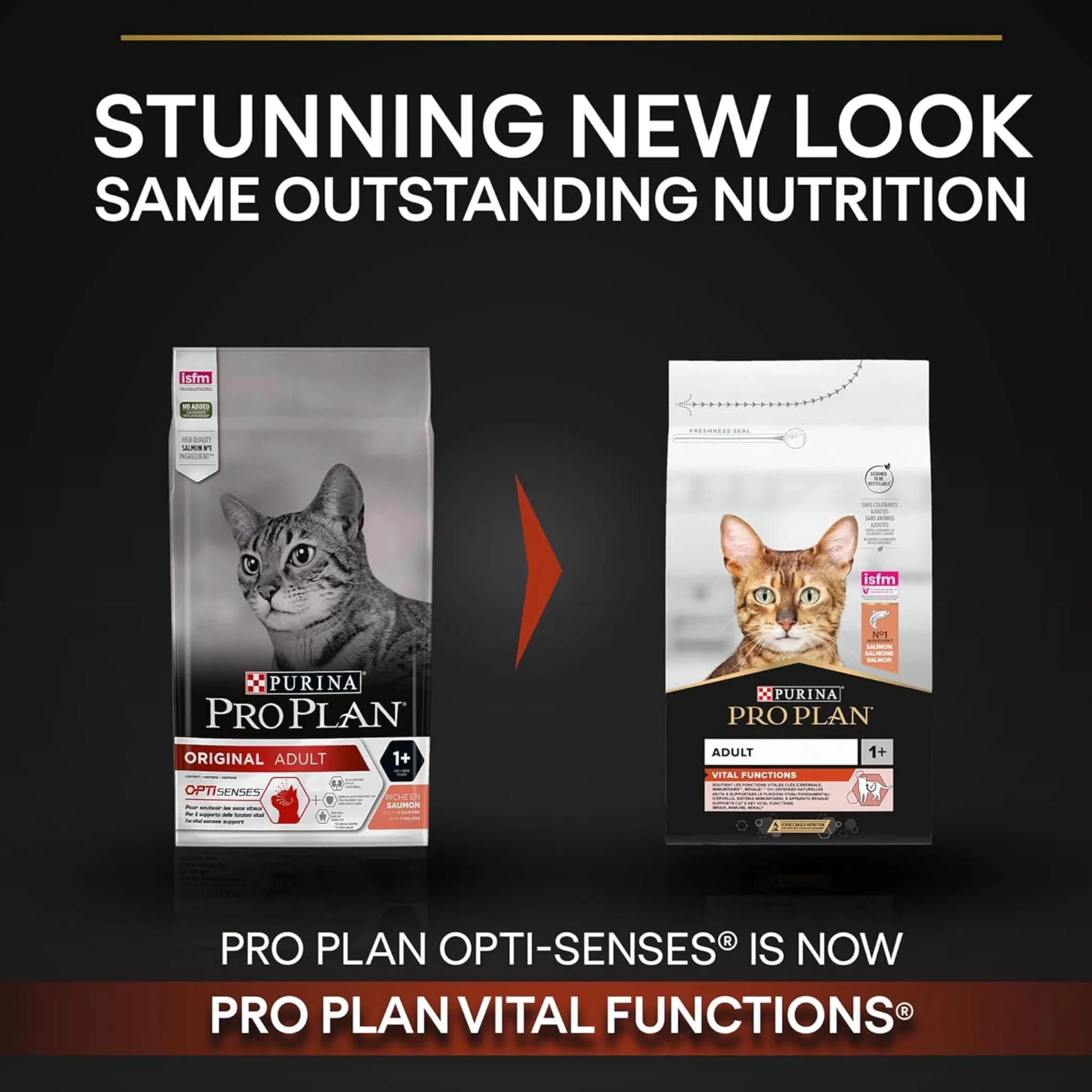Purina Pro Plan Original Adult Dry Cat Food With Salmon - 1.5 kg - Image 2