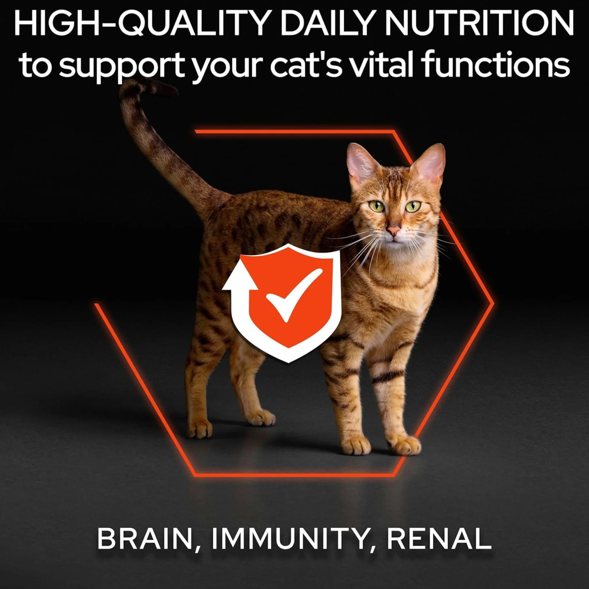 Purina Pro Plan Original Adult Dry Cat Food With Salmon - 1.5 kg - Image 3