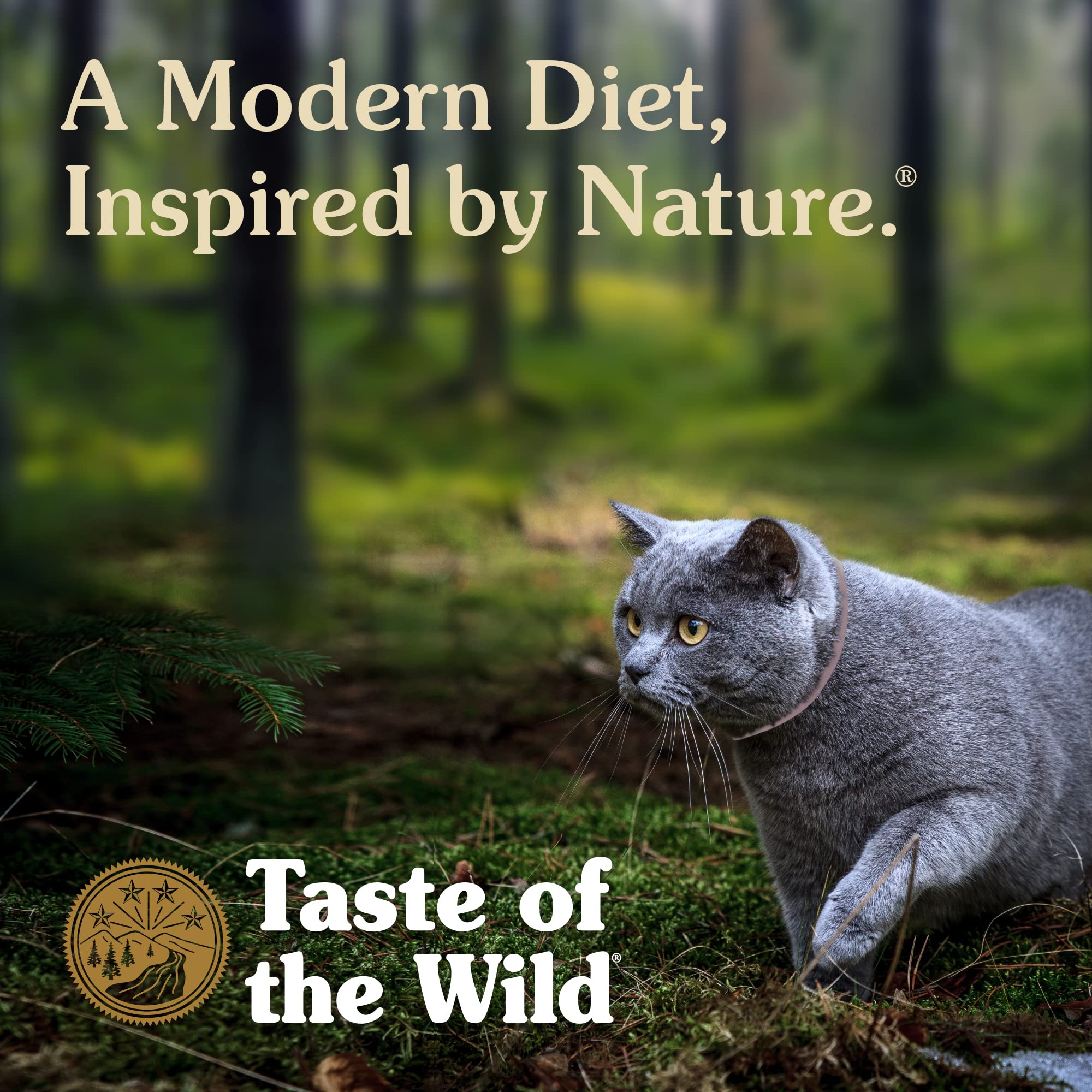 Taste Of Wild Rocky Mountain With Roasted Venison & Smoked Salmon Cat Food - 2Kg - Image 3