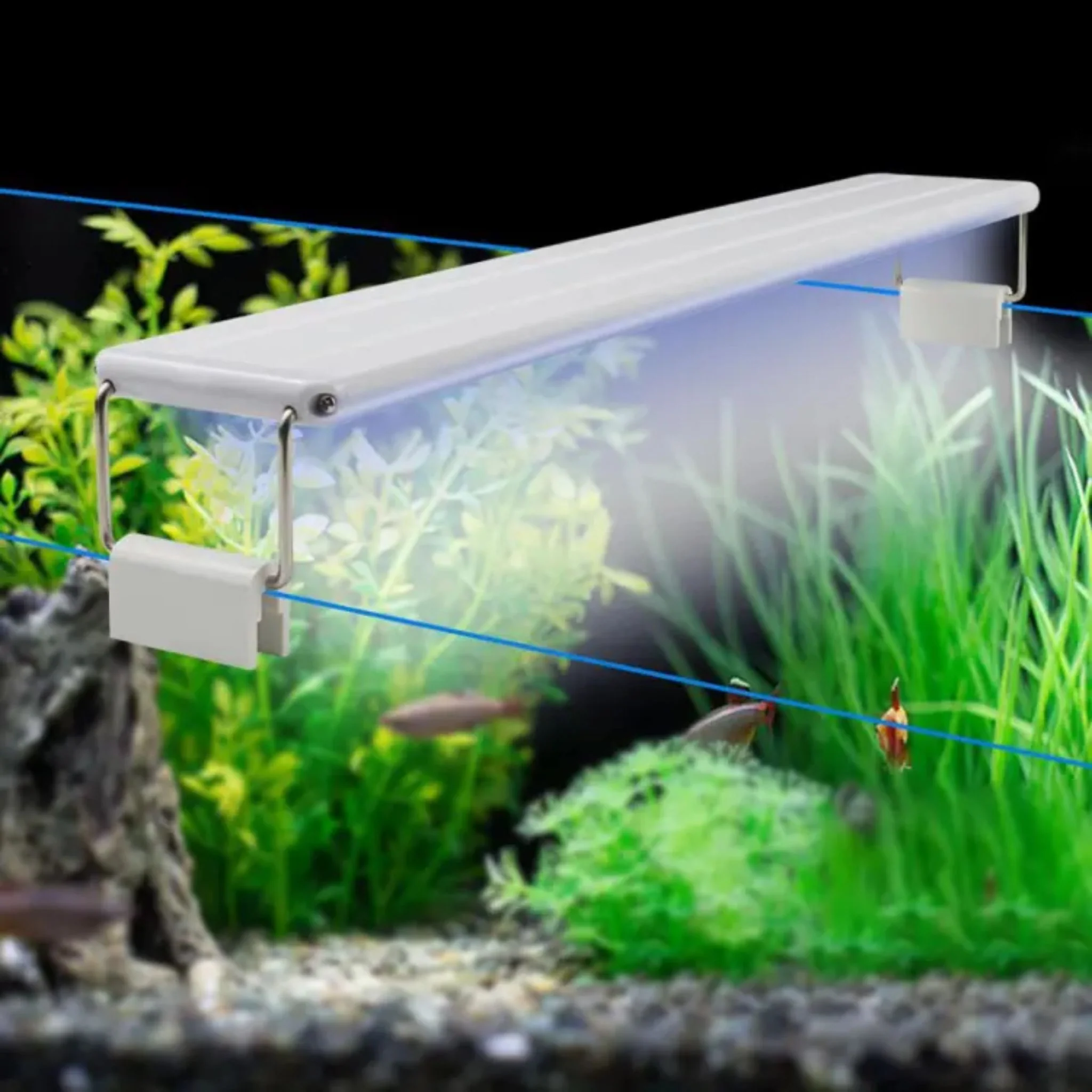 Roxin LED Top Colorfull Aquarium Light - Image 2