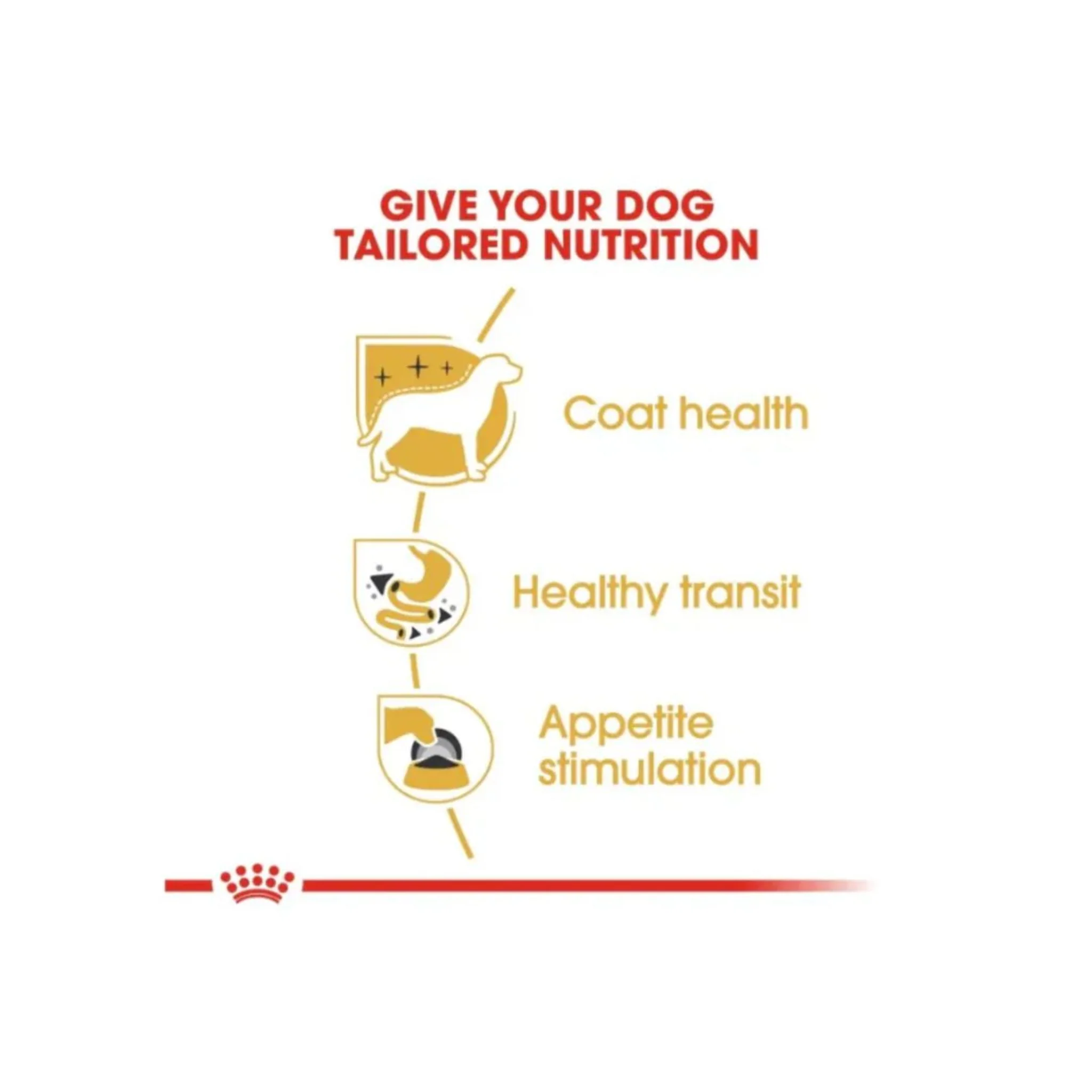 Royal Canin Breed Health Nutrition Chihuahua Adult Dog Wet Food - 12X85G - Image 5