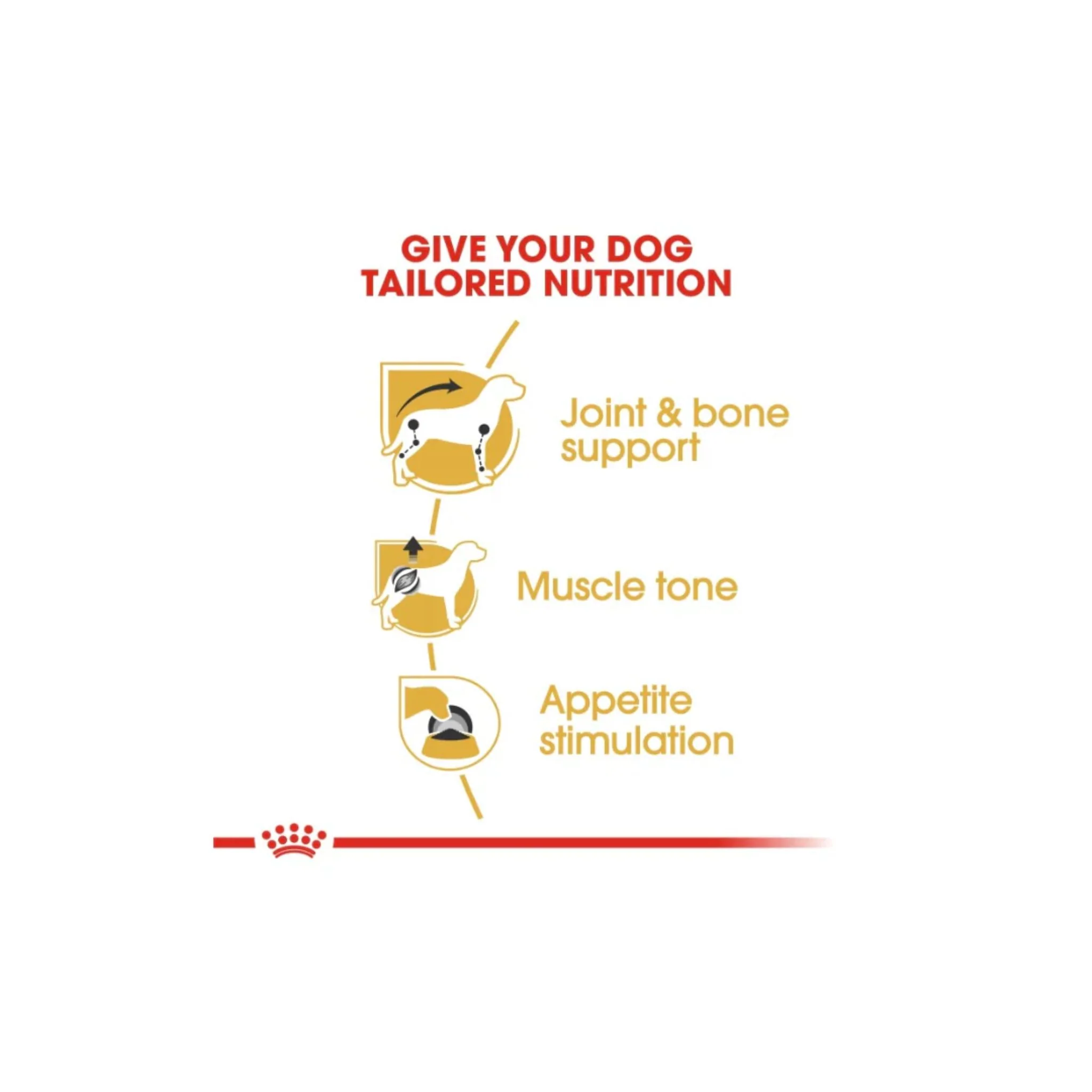 Royal Canin Breed Health Nutrition Dachshund Adult Dog Wet Food - 85G - Image 3